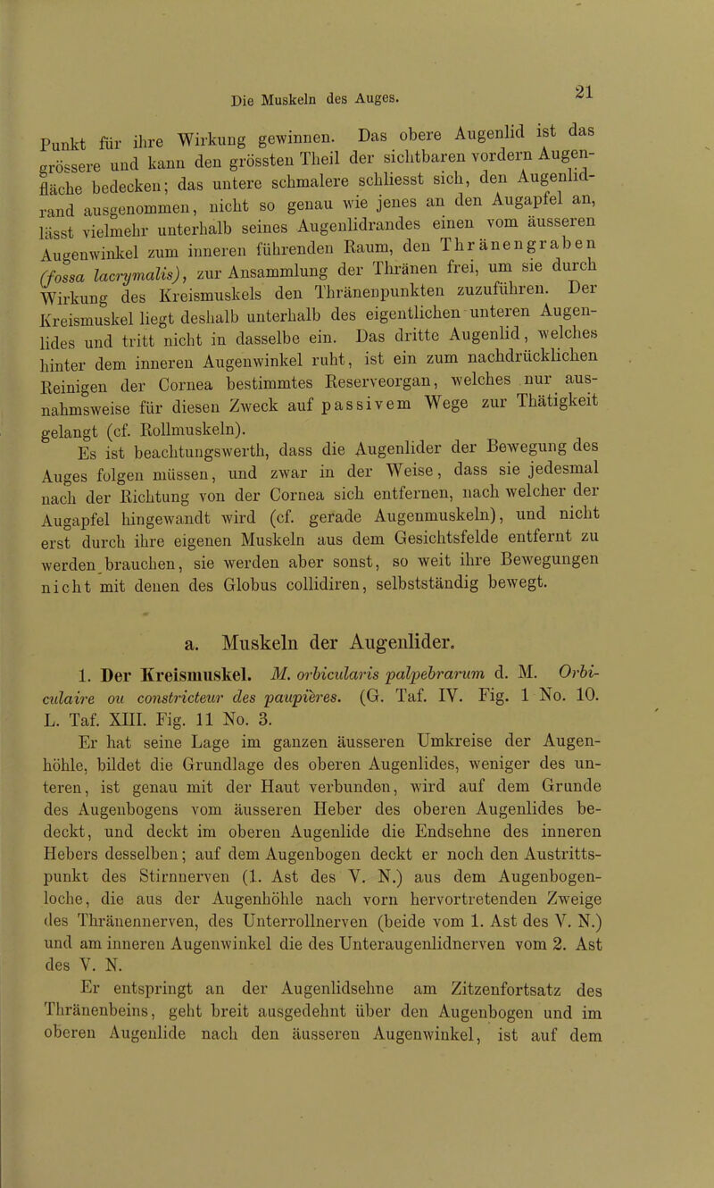 Punkt für ihre Wirkung gewinnen. Das obere Augenlid ist das grö'^sere und kann den grössten Tlieil der sichtbaren vordem Augen- fläche bedecken; das untere schmalere schliesst sich, den Augenlid- rand ausgenommen, nicht so genau wie jenes an den Augapfel an, lässt vielmehr unterhalb seines Augenlidrandes einen vom äusseren Augenwinkel zum inneren führenden Raum, den Thränengraben (fossa laa^jmalis), zur Ansammlung der Thränen frei, um sie durch Wirkung des Kreismuskels den Thränenpunkten zuzuführen. Der Kreismuskel liegt deshalb unterhalb des eigentlichen unteren Augen- lides und tritt nicht in dasselbe ein. Das dritte Augenhd, welches hinter dem inneren Augenwinkel ruht, ist ein zum nachdrücklichen Reinigen der Cornea bestimmtes Reserveorgan, welches nur aus- nahmsweise für diesen Zweck auf passivem Wege zur Thätigkeit gelangt (cf. Rollmuskeln). Es ist beachtungswerth, dass die Augenlider der Bewegung des Auges folgen müssen, und zwar in der Weise, dass sie jedesmal nach der Richtung von der Cornea sich entfernen, nach welcher der Augapfel hingewandt wird (cf. gerade Augenmuskeln), und nicht erst durch ihre eigenen Muskeln aus dem Gesichtsfelde entfernt zu werden>rauchen, sie werden aber sonst, so weit ihre Bewegungen nicht mit denen des Globus collidiren, selbstständig bewegt. a. Muskeln der Augenlider. 1. Der Kreismiiskel. M. orhicularis palpehra7nim d. M. Orhi- culaire oii constricteur des paupieres. (G. Taf. IV. Fig. 1 No. 10. L. Taf. XIII. Fig. 11 No. 3. Er hat seine Lage im ganzen äusseren Umkreise der Augen- höhle, bildet die Grundlage des oberen Augenlides, weniger des un- teren, ist genau mit der Haut verbunden, wird auf dem Grunde des Augeubogens vom äusseren Heber des oberen Augenlides be- deckt, und deckt im oberen Augenlide die Endsehne des inneren Hebers desselben; auf dem Augenbogen deckt er noch den Austritts- punkt des Stirnnerven (1. Ast des Y. N.) aus dem Augenbogen- loche, die aus der Augenhöhle nach vorn hervortretenden Zweige des Thränennerven, des Unterrollnerven (beide vom 1. Ast des V, N.) und am inneren Augenwinkel die des Unteraugenlidnerven vom 2. Ast des V. N. Er entspringt an der Augenlidsehne am Zitzenfortsatz des Thränenbeins, geht breit ausgedehnt über den Augenbogen und im oberen Augenlide nach den äusseren Augenwinkel, ist auf dem