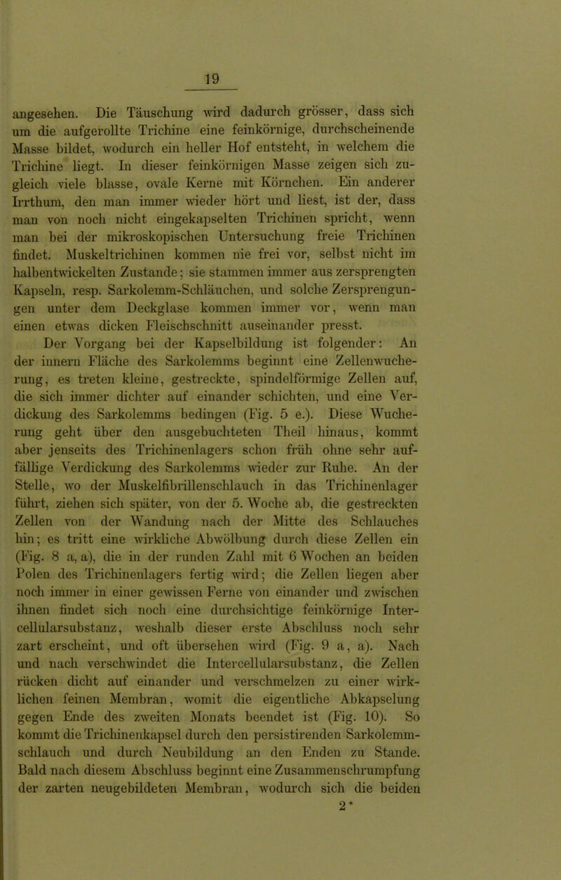 angesehen. Die Täuschung wird dadurch grösser, dass sich um die aufgerollte Trichine eine feinkörnige, durchscheinende Masse bildet, wodurch ein heller Hof entsteht, in welchem die Trichine liegt. In dieser feinkörnigen Masse zeigen sich zu- gleich viele blasse, ovale Kerne mit Körnchen. Ein anderer Irrthum, den man immer wieder hört und liest, ist der, dass man von noch nicht eingekapselten Trichinen spricht, wenn man bei der mikroskopischen Untersuchung freie Trichinen findet. Muskeltrichinen kommen nie frei vor, selbst nicht im halbentwickelten Zustande; sie stammen immer aus zersprengten Kapseln, resp. Sarkolemm-Schläuchen, und solche Zersprengun- gen unter dem Deckglase kommen immer vor, wenn man einen etwas dicken Fleischschnitt auseinander presst. Der Vorgang bei der Kapselbildung ist folgender: An der innern Fläche des Sarkolemms beginnt eine Zellenwuche- rung, es treten kleine, gestreckte, spindelförmige Zellen auf, die sich immer dichter auf einander schichten, und eine Ver- dickung des Sarkolemms bedingen (Fig. 5 e.). Diese Wuche- rung geht über den ausgebuchteten Theil hinaus, kommt aber jenseits des Trichinenlagers schon früh ohne sehr auf- fällige Verdickung des Sarkolemms wieder zur Ruhe. An der Stelle, wo der Muskelfibrillenschlauch in das Trichinenlager führt, ziehen sich später, von der 5. Woche ab, die gestreckten Zellen von der Wandung nach der Mitte des Schlauches hin; es tritt eine wirkliche Abwölbung durch diese Zellen ein (Fig. 8 a, a), die in der runden Zahl mit 6 Wochen an beiden Polen des Trichinenlagers fertig ward; die Zellen liegen aber noch immer in einer gewissen Ferne von einander und zwischen ihnen findet sich noch eine durchsichtige feinkörnige Inter- cellularsubstanz, weshalb dieser erste Abschluss noch sehr zart erscheint, und oft übersehen wird (Fig. 9 a, a). Nach und nach verschwindet die Intercellularsubstanz, die Zellen rücken dicht auf einander und verschmelzen zu einer wirk- lichen feinen Membran, womit die eigentliche Abkapselung gegen Ende des zweiten Monats beendet ist (Fig. 10). So kommt die Trichinenkapsel durch den persistirenden Sarkolemm- schlauch und durch Neubildung an den Enden zu Stande. Bald nach diesem Abschluss beginnt eine Zusammenschrumpfung der zarten neugebildeten Membran, wodurch sich die beiden 2*
