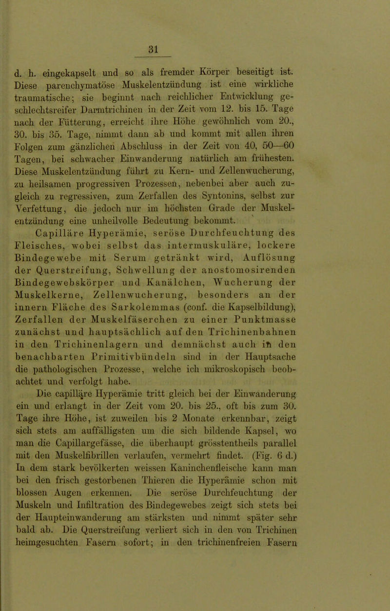 d. h. eingekapselt und so als fremder Körper beseitigt ist. Diese parenchymatöse Muskelentzündung ist eine wirkliche traumatische; sie beginnt nach reichlicher Entwicklung ge- schlechtsreifer Darmtrichinen in der Zeit vom 12. bis 15. Tage nach der Fütterung, erreicht ihre Höhe gewöhnlich vom 20., 30. bis 35. Tage, nimmt dann ab und kommt mit allen ihren Folgen zum gänzlichen Abschluss in der Zeit von 40, 50—60 Tagen, bei schwacher Einwanderung natürlich am frühesten. Diese Muskelentzündung führt zu Kern- und Zellenwucherung, zu heilsamen progressiven Prozessen, nebenbei aber auch zu- gleich zu regressiven, zum Zerfallen des Syntonins, selbst zur Verfettung, die jedoch nur im höchsten Grade der Muskel- entzündung eine unheilvolle Bedeutung bekommt. Capilläre Hyperämie, seröse Durchfeuchtung des Fleisches, wobei selbst das intermuskuläre, lockere Bindegewebe mit Serum getränkt wird, Auflösung der Querstreifung, Schwellung der anostomosirenden Bindegewebskörper und Kanälchen, Wucherung der Muskelkerne, Zellenwucherung, besonders au der innern Fläche des Sarkolemmas (conf. die Kapselbildung), Zerfallen der Muskelfäserchen zu einer Punktmasse zunächst und hauptsächlich auf den Trichinenbahnen in den Trichinenlagern und demnächst auch iTi den benachbarten Primitivbündeln sind in der Hauptsache die pathologischen Prozesse, welche ich mikroskopisch beob- achtet und verfolgt habe. Die capilläre Hyperämie tritt gleich bei der Einwanderung ein und erlangt in der Zeit vom 20. bis 25., oft bis zum 30. Tage ihre Höhe, ist zuweilen bis 2 Monate erkennbar, zeigt sich stets am auffälligsten um die sich bildende Kapsel, wo man die Capillargefässe, die überhaupt grösstentheils parallel mit den Muskelfibrillen verlaufen, vermehrt findet. (Fig. 6 d.) In dem stark bevölkerten weissen Kaninchenfleische kann man bei den frisch gestorbenen 'filieren die Hyperämie schon mit blossen Augen erkennen. Die seröse Durchfeuchtung der Muskeln und Infiltration des Bindegewebes zeigt sich stets bei der Haupteinwanderung am stärksten und nimmt später sehr bald ab. Die Querstreifung verliert sich in den von Trichinen heimgesuchten Fasern sofort; in den trichinenfreien Fasern
