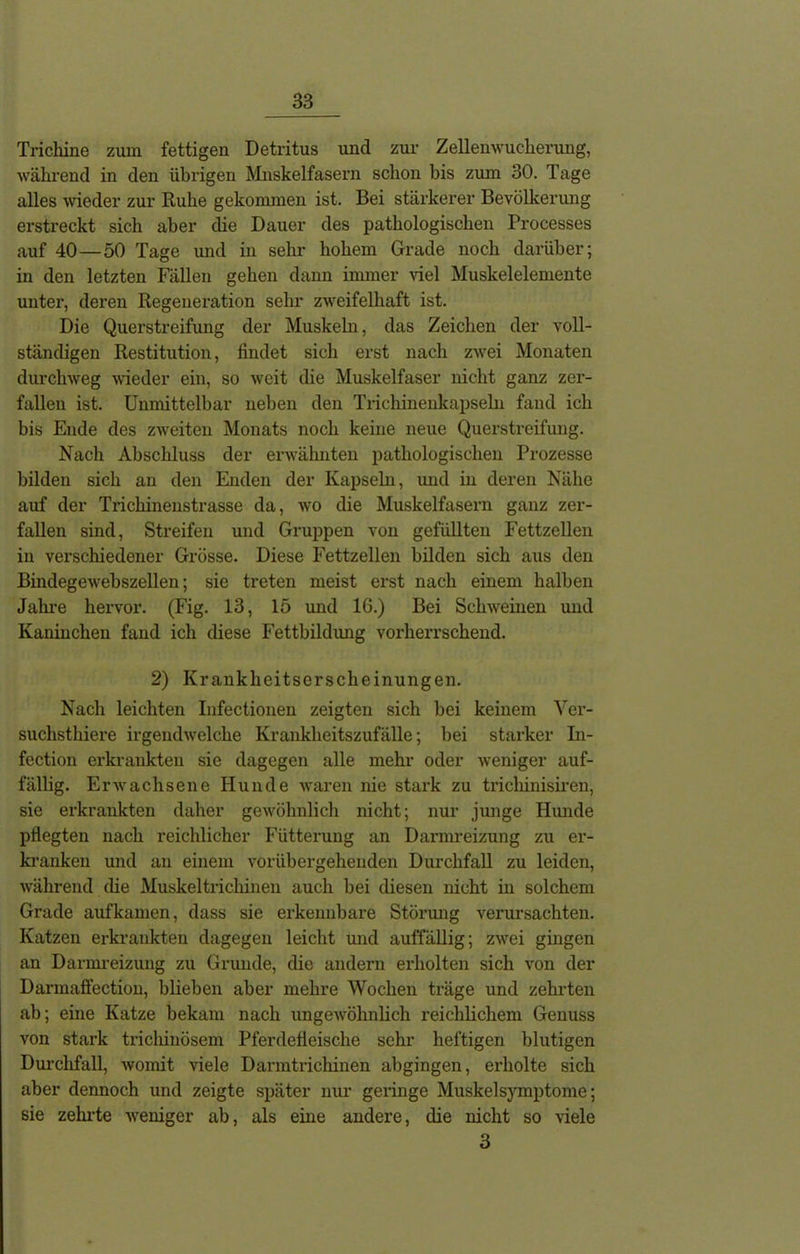 Trichine zum fettigen Detritus und zur Zellenwucherung, während in den übrigen Muskelfasern schon bis zum 30. Tage alles wieder zur Ruhe gekommen ist. Bei stärkerer Bevölkerung erstreckt sich aber die Dauer des pathologischen Processes auf 40—50 Tage und in sehr hohem Grade noch darüber; in den letzten Fällen gehen dann immer viel Muskelelemente unter, deren Regeneration sehr zweifelhaft ist. Die Querstreifung der Muskeln, das Zeichen der voll- ständigen Restitution, findet sich erst nach zwei Monaten durchweg wieder ein, so weit die Muskelfaser nicht ganz zer- fallen ist. Unmittelbar neben den Trichinenkapseln fand ich bis Ende des zweiten Monats noch keine neue Querstreifung. Nach Abschluss der erwähnten pathologischen Prozesse bilden sich an den Enden der Kapseln, und in deren Nähe auf der Trichinenstrasse da, wo die Muskelfasern ganz zer- fallen sind, Streifen und Gruppen von gefüllten Fettzellen in verschiedener Grösse. Diese Fettzellen bilden sich aus den Bindegewebszellen; sie treten meist erst nach einem halben Jahre hervor. (Fig. 13, 15 und 16.) Bei Schweinen und Kaninchen fand ich diese Fettbildung vorherrschend. 2) Krankheitserscheinungen. Nach leichten Infectionen zeigten sich bei keinem Ver- suchsthiere irgendwelche Krankheitszufälle; bei starker Li- fection erkrankten sie dagegen alle mehr oder weniger auf- fällig. Erwachsene Hunde waren nie stark zu trichinisiren, sie erkrankten daher gewöhnlich nicht; nur junge Hunde pflegten nach reichlicher Fütterung an Darmreizung zu er- kranken und an einem vorübergehenden Durchfall zu leiden, während die Muskeltrichinen auch bei diesen nicht in solchem Grade aufkamen, dass sie erkennbare Störung verursachten. Katzen erkrankten dagegen leicht und auffällig; zwei gingen an Darmreizung zu Grunde, die andern erholten sich von der Darmaffection, blieben aber mehre Wochen träge und zehrten ab; eine Katze bekam nach ungewöhnlich reichlichem Genuss von stark trichinösem Pferdefleische sehr heftigen blutigen Durchfall, womit viele Darmtrichinen abgingen, erholte sich aber dennoch und zeigte später nur geringe Muskelsymptome; sie zehrte weniger ab, als eine andere, die nicht so viele 3