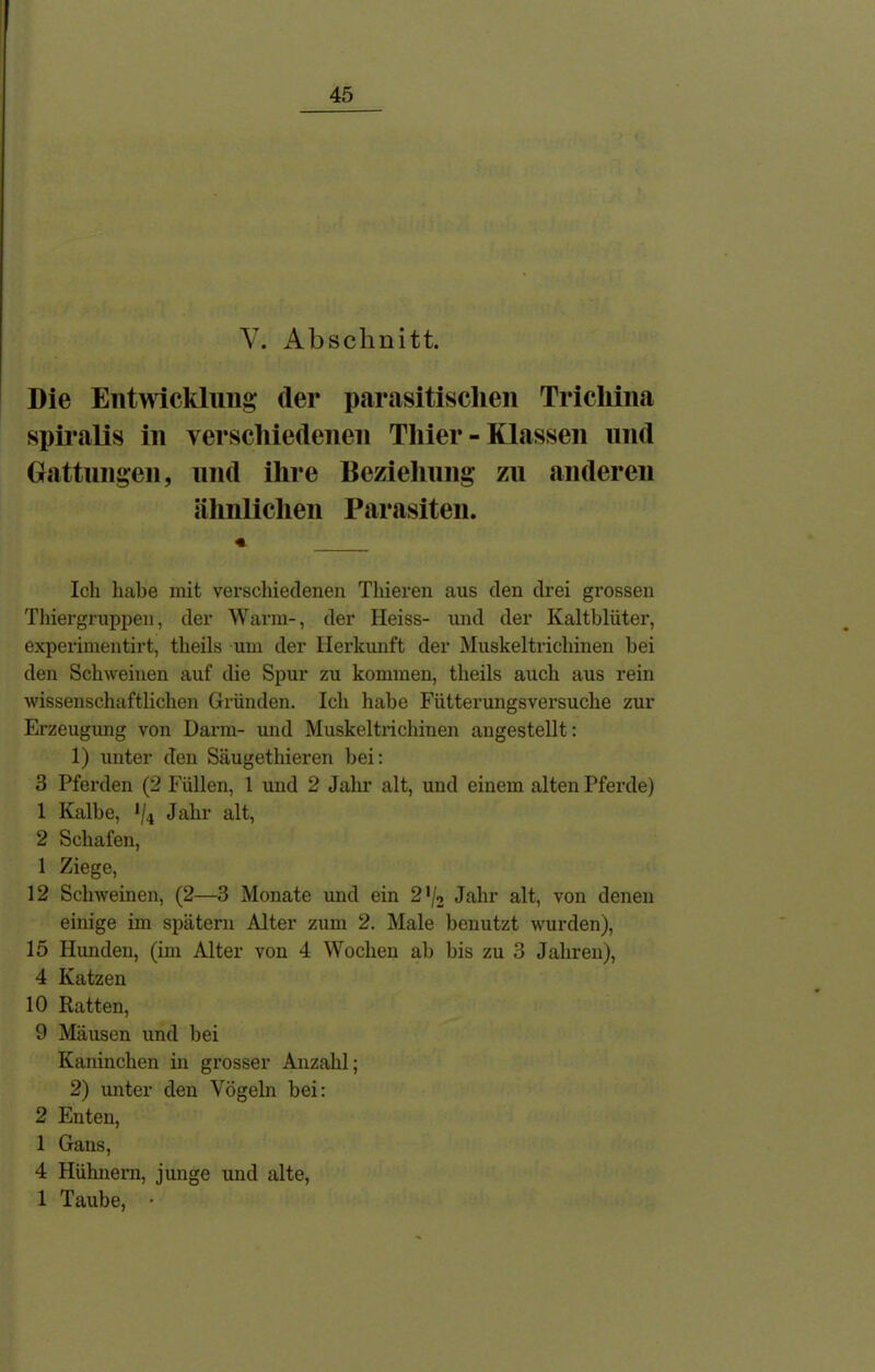V. Abschnitt. Die Entwicklung (1er parasitischen Trichina spiralis in verschiedenen Thier - Klassen und Gattungen, und ihre Beziehung zu anderen ähnlichen Parasiten. Ich habe mit verschiedenen Thieren aus den drei grossen Thiergruppen, der Warm-, der Heiss- und der Kaltblüter, experimentirt, theils um der Herkunft der Muskeltrichinen bei den Schweinen auf die Spur zu kommen, theils auch aus rein wissenschaftlichen Gründen. Ich habe Fütterungsversuche zur Erzeugung von Darm- und Muskeltrichinen angestellt: 1) unter den Säugethieren bei: 3 Pferden (2 Füllen, 1 und 2 Jahr alt, und einem alten Pferde) 1 Kalbe, */4 Jahr alt, 2 Schafen, 1 Ziege, 12 Schweinen, (2—3 Monate und ein 2 '/2 Jahr alt, von denen einige im spätem Alter zum 2. Male benutzt wurden), 15 Hunden, (im Alter von 4 Wochen ab bis zu 3 Jahren), 4 Katzen 10 Ratten, 9 Mäusen und bei Kaninchen in grosser Anzahl; 2) unter den Vögeln bei: 2 Enten, 1 Gaus, 4 Hühnern, junge und alte, 1 Taube, •