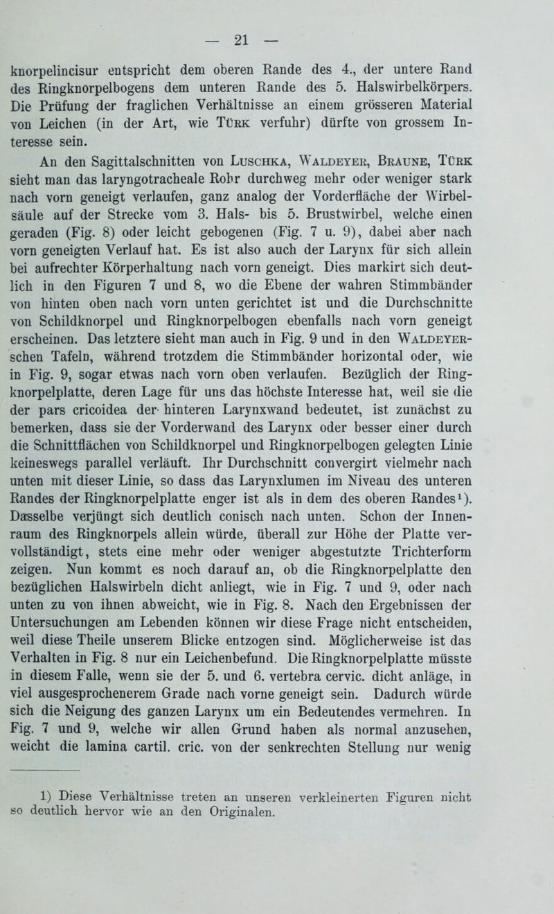 knorpelincisur entspricht dem oberen Rande des 4., der untere Rand des Ringknorpelbogens dem unteren Rande des 5. Halswirbelkörpers. Die Prüfung der fraglichen Verhältnisse an einem grösseren Material von Leichen (in der Art, wie Türk verfuhr) dürfte von grossem In- teresse sein. An den Sagittalschnitten von Luschka, Waldeyer, Braune, Türk sieht man das laryngotracheale Rohr durchweg mehr oder weniger stark nach vorn geneigt verlaufen, ganz analog der Vorderfläche der Wirbel- säule auf der Strecke vom 3. Hals- bis 5. Brustwirbel, welche einen geraden (Fig. 8) oder leicht gebogenen (Fig. 7 u. 9), dabei aber nach vorn geneigten Verlauf hat. Es ist also auch der Larynx für sich allein bei aufrechter Körperhaltung nach vorn geneigt. Dies markirt sich deut- lich in den Figuren 7 und 8, wo die Ebene der wahren Stimmbänder von hinten oben nach vorn unten gerichtet ist und die Durchschnitte von Schildknorpel und Ringknorpelbogen ebenfalls nach vorn geneigt erscheinen. Das letztere sieht man auch in Fig. 9 und in den Waldeyer- schen Tafeln, während trotzdem die Stimmbänder horizontal oder, wie in Fig. 9, sogar etwas nach vorn oben verlaufen. Bezüglich der Ring- knorpelplatte, deren Lage für uns das höchste Interesse hat, weil sie die der pars cricoidea der- hinteren Larynxwand bedeutet, ist zunächst zu bemerken, dass sie der Vorderwand des Larynx oder besser einer durch die Schnittflächen von Schildknorpel und Ringknorpelbogen gelegten Linie keineswegs parallel verläuft. Ihr Durchschnitt convergirt vielmehr nach unten mit dieser Linie, so dass das Larynxlumen im Niveau des unteren Randes der Ringknorpel platte enger ist als in dem des oberen Randes1). Dasselbe verjüngt sich deutlich conisch nach unten. Schon der Innen- raum des Ringknorpels allein würde, überall zur Höhe der Platte ver- vollständigt, stets eine mehr oder weniger abgestutzte Trichterform zeigen. Nun kommt es noch darauf an, ob die Ringknorpelplatte den bezüglichen Halswirbeln dicht anliegt, wie in Fig. 7 und 9, oder nach unten zu von ihnen abweicht, wie in Fig. 8. Nach den Ergebnissen der Untersuchungen am Lebenden können wir diese Frage nicht entscheiden, weil diese Theile unserem Blicke entzogen sind. Möglicherweise ist das Verhalten in Fig. 8 nur ein Leichenbefund. Die Ringknorpelplatte müsste in diesem Falle, wenn sie der 5. und 6. vertebra cervic. dicht anläge, in viel ausgesprochenerem Grade nach vorne geneigt sein. Dadurch würde sich die Neigung des ganzen Larynx um ein Bedeutendes vermehren. In Fig. 7 und 9, welche wir allen Grund haben als normal anzusehen, weicht die lamina cartil. cric. von der senkrechten Stellung nur wenig 1) Diese Verhältnisse treten an unseren verkleinerten Figuren nicht so deutlich hervor wie an den Originalen.