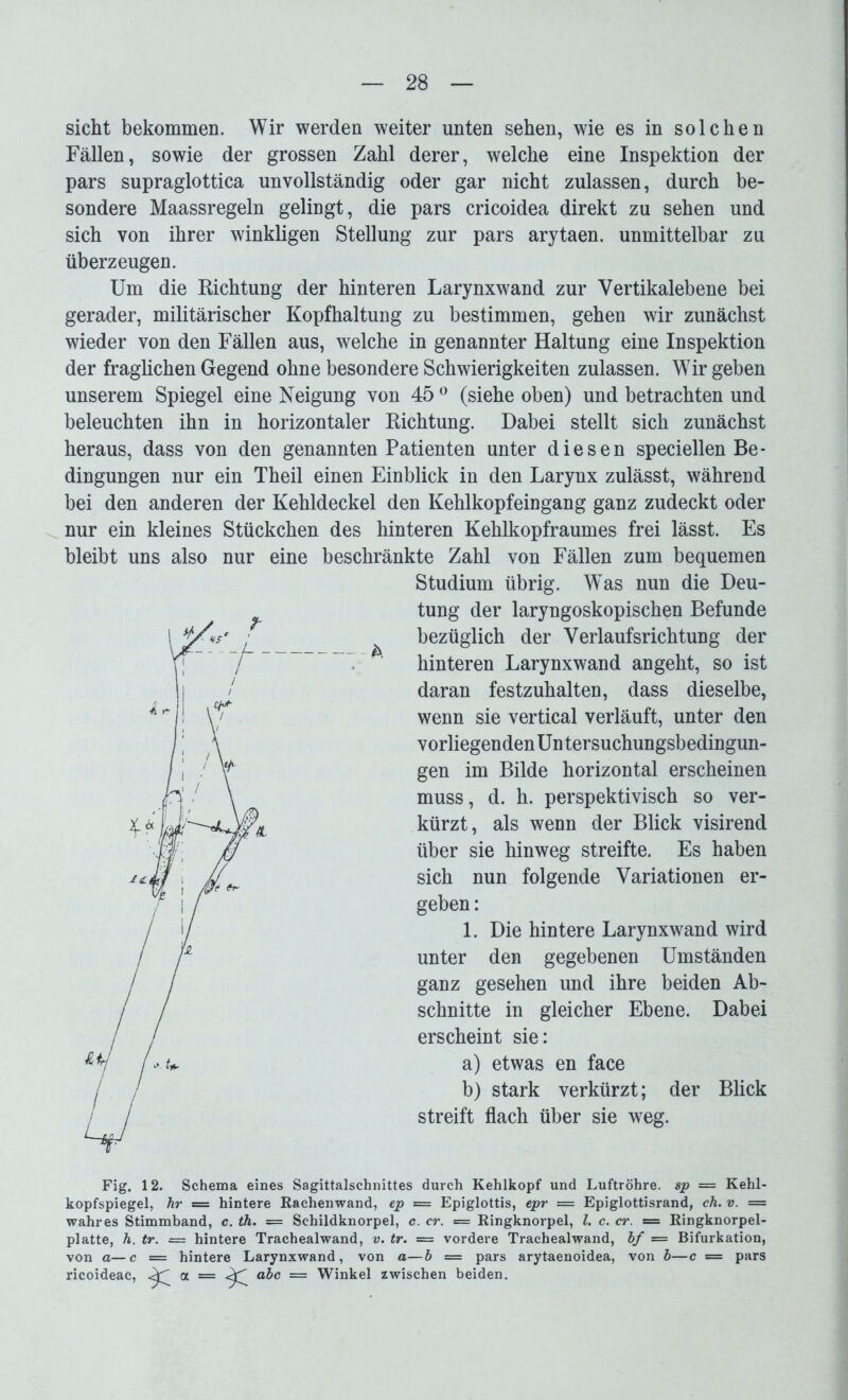 sicht bekommen. Wir werden weiter unten sehen, wie es in solchen Fällen, sowie der grossen Zahl derer, welche eine Inspektion der pars supraglottica unvollständig oder gar nicht zulassen, durch be- sondere Maassregeln gelingt, die pars cricoidea direkt zu sehen und sich von ihrer winkligen Stellung zur pars arytaen. unmittelbar zu überzeugen. Um die Richtung der hinteren Larynxwand zur Vertikalebene bei gerader, militärischer Kopfhaltung zu bestimmen, gehen wir zunächst wieder von den Fällen aus, welche in genannter Haltung eine Inspektion der fraglichen Gegend ohne besondere Schwierigkeiten zulassen. Wir geben unserem Spiegel eine Neigung von 45 0 (siehe oben) und betrachten und beleuchten ihn in horizontaler Richtung. Dabei stellt sich zunächst heraus, dass von den genannten Patienten unter diesen speciellen Be- dingungen nur ein Theil einen Einblick in den Larynx zulässt, während bei den anderen der Kehldeckel den Kehlkopfeiugang ganz zudeckt oder nur ein kleines Stückchen des hinteren Kehlkopfraumes frei lässt. Es bleibt uns also nur eine beschränkte Zahl von Fällen zum bequemen Studium übrig. Was nun die Deu- tung der laryngoskopischen Befunde bezüglich der Verlaufsrichtung der hinteren Larynxwand an geht, so ist daran festzuhalten, dass dieselbe, wenn sie vertical verläuft, unter den vorliegenden Un tersuchungsbedingun- gen im Bilde horizontal erscheinen muss, d. h. perspektivisch so ver- kürzt, als wenn der Blick visirend über sie hinweg streifte. Es haben sich nun folgende Variationen er- geben : 1. Die hintere Larynxwand wird unter den gegebenen Umständen ganz gesehen und ihre beiden Ab- schnitte in gleicher Ebene. Dabei erscheint sie: a) etwas en face b) stark verkürzt; der Blick streift flach über sie weg. Fig. 12. Schema eines Sagittalschnittes durch Kehlkopf und Luftröhre, sp — Kehl- kopfspiegel, hr = hintere Rachenwand, ep = Epiglottis, epr — Epiglottisrand, eh. v. = wahres Stimmband, c. th. = Schildknorpel, c. er. = Ringknorpel, l. c. er. = Ringknorpel- platte, h. tr. = hintere Trachealwand, v. tr. == vordere Trachealwand, bf = Bifurkation, von a—c = hintere Larynxwand, von a—b = pars arytaenoidea, von b—c = pars ricoideac, a = abc — Winkel zwischen beiden.