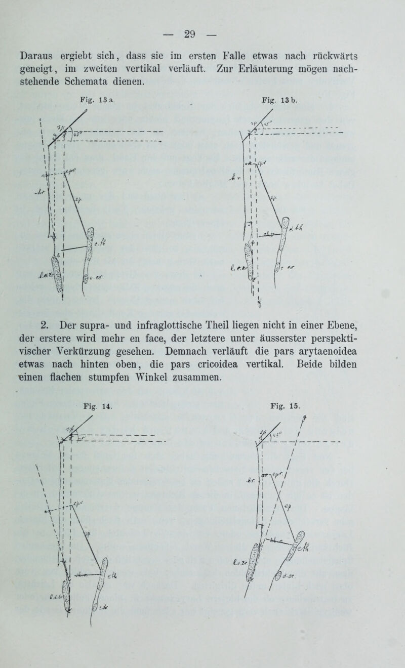 Daraus ergiebt sich, dass sie im ersten Falle etwas nach rückwärts geneigt, im zweiten vertikal verläuft. Zur Erläuterung mögen nach- stehende Schemata dienen. Fig. 13 a. Fig. 13 b. 2. Der supra- und infraglottische Theil liegen nicht in einer Ebene, der erstere wird mehr en face, der letztere unter äusserster perspekti- vischer Verkürzung gesehen. Demnach verläuft die pars arytaenoidea etwas nach hinten oben, die pars cricoidea vertikal. Beide bilden rnnen flachen stumpfen Winkel zusammen. Fig. 14. Fig. 15.