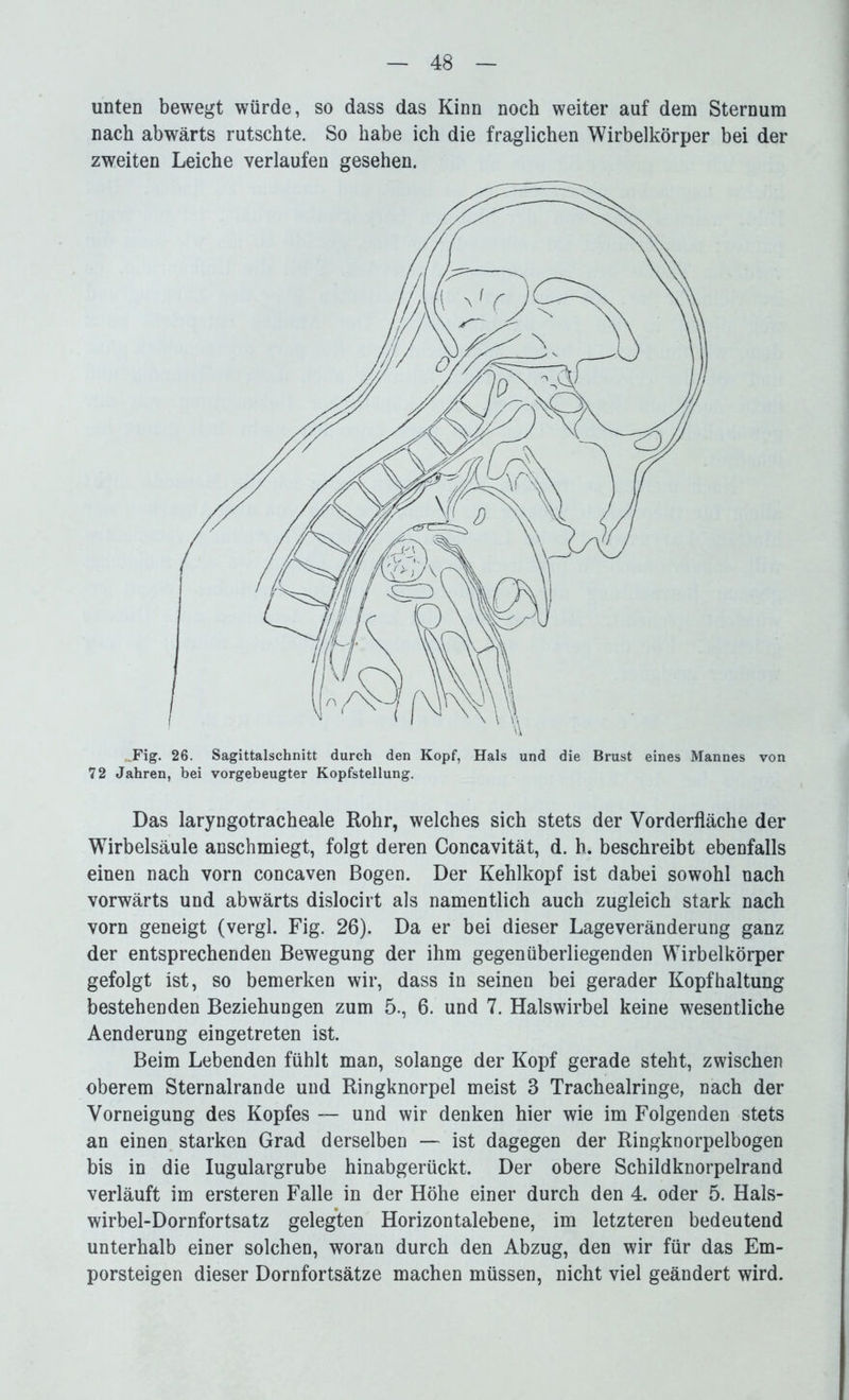 unten bewegt würde, so dass das Kinn noch weiter auf dem Sternum nach abwärts rutschte. So habe ich die fraglichen Wirbelkörper bei der zweiten Leiche verlaufen gesehen. _Fig. 26. Sagittalschnitt durch den Kopf, Hals und die Brust eines Mannes von 72 Jahren, bei vorgebeugter Kopfstellung. Das laryngotracheale Rohr, welches sich stets der Vorderfläche der Wirbelsäule anschmiegt, folgt deren Concavität, d. h. beschreibt ebenfalls einen nach vorn concaven Bogen. Der Kehlkopf ist dabei sowohl nach vorwärts und abwärts dislocirt als namentlich auch zugleich stark nach vorn geneigt (vergl. Fig. 26). Da er bei dieser Lageveränderung ganz der entsprechenden Bewegung der ihm gegenüberliegenden Wirbelkörper gefolgt ist, so bemerken wir, dass in seinen bei gerader Kopfhaltung bestehenden Beziehungen zum 5., 6. und 7. Halswirbel keine wesentliche Aenderung eingetreten ist. Beim Lebenden fühlt man, solange der Kopf gerade steht, zwischen oberem Sternalrande und Ringknorpel meist 3 Trachealringe, nach der Vorneigung des Kopfes — und wir denken hier wie im Folgenden stets an einen starken Grad derselben — ist dagegen der Ringknorpelbogen bis in die Iugulargrube hinabgerückt. Der obere Schildknorpelrand verläuft im ersteren Falle in der Höhe einer durch den 4. oder 5. Hals- wirbel-Dornfortsatz gelegten Horizontalebene, im letzteren bedeutend unterhalb einer solchen, woran durch den Abzug, den wir für das Em- porsteigen dieser Dornfortsätze machen müssen, nicht viel geändert wird.