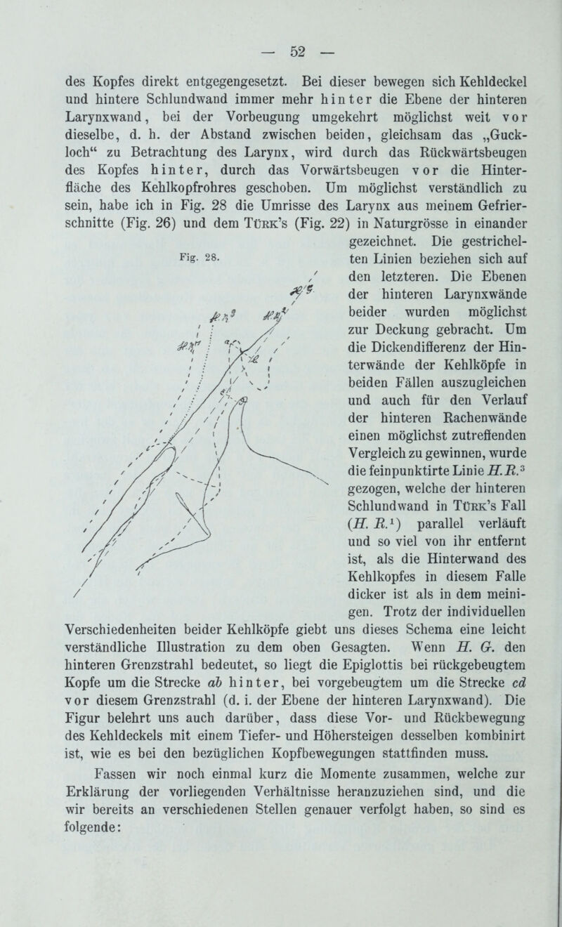 des Kopfes direkt entgegengesetzt. Bei dieser bewegen sich Kehldeckel und hintere Schlundwand immer mehr hinter die Ebene der hinteren Larynxwand, bei der Vorbeugung umgekehrt möglichst weit vor dieselbe, d. h. der Abstand zwischen beiden, gleichsam das „Guck- loch“ zu Betrachtung des Larynx, wird durch das Rückwärtsbeugen des Kopfes hinter, durch das Vorwärtsbeugen vor die Hinter- fläche des Kehlkopfrohres geschoben. Um möglichst verständlich zu sein, habe ich in Fig. 28 die Umrisse des Larynx aus meinem Gefrier- schnitte (Fig. 26) und dem Türk’s (Fig. 22) in Naturgrösse in einander gezeichnet. Die gestrichel- ten Linien beziehen sich auf den letzteren. Die Ebenen der hinteren Larynxwände beider wurden möglichst zur Deckung gebracht. Um die Dickendiflerenz der Hin- terwände der Kehlköpfe in beiden Fällen auszugleichen und auch für den Verlauf der hinteren Rachenwände einen möglichst zutreflenden Vergleich zu gewinnen, wurde die feinpunktirte Linie H.R.S gezogen, welche der hinteren Schlund wand in Türk’s Fall (H. R.1) parallel verläuft und so viel von ihr entfernt ist, als die Hinterwand des Kehlkopfes in diesem Falle dicker ist als in dem meini- gen. Trotz der individuellen Verschiedenheiten beider Kehlköpfe giebt uns dieses Schema eine leicht verständliche Illustration zu dem oben Gesagten. Wenn H. G. den hinteren Grenzstrahl bedeutet, so liegt die Epiglottis bei rückgebeugtem Kopfe um die Strecke ab hinter, bei vorgebeugtem um die Strecke cd vor diesem Grenzstrahl (d. i. der Ebene der hinteren Larynxwand). Die Figur belehrt uns auch darüber, dass diese Vor- und Rückbewegung des Kehldeckels mit einem Tiefer- und Höhersteigen desselben kombinirt ist, wie es bei den bezüglichen Kopfbewegungen stattfinden muss. Fassen wir noch einmal kurz die Momente zusammen, welche zur Erklärung der vorliegenden Verhältnisse heranzuziehen sind, und die wir bereits an verschiedenen Stellen genauer verfolgt haben, so sind es folgende: Fig. 28. /