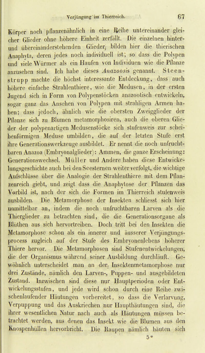 Körper noch pdanzenähnlich in eine IJeihe untereinander glei- cher Glieder ohne höhere Einheit zerfällt. Die einzelnen hinter- und übereinanderstehenden Gliederj bilden hier die thierischen Anaphjta, deren jedes noch individuell ist; so dass die Polypen und viele Würmer als ein Haufen von Individuen wie die Pflanze anzusehen sind. Ich habe dieses Anazoosis genannt. Steen- strupp machte die höchst interessante Entdeckung, dass auch höhere einfache Strahlenthiere, wie die Medusen, in der ersten Jugend sich in Form von Polypenstöcken anazootisch entwickeln, sogar ganz das Ansehen von Polypen mit strahligen Armen ha- ben; dass jedoch, ähnlich wie die obersten Zweigglieder der Pflanze sich zu Blumen metamorphosiren, auch die oberen Glie- der der polypenartigen Medusenstöcke sich stufenweis zur schei- benförmigen Meduse umbilden, die auf der letzten Stufe erst ihre Generationswerkzeuge ausbildet. Er nennt die noch unfrucht- baren Anazoa (Embryonalglieder): Ammen, die ganze Erscheinung: Generationswechsel. Müller und Andere haben diese Entwicke- lungsgeschichte auch bei den Seesternen weiter verfolgt, die wichtige Aufschlüsse über die Analogie der Strahlenthiere mit dem Pflan- zenreich giebt, und zeigt dass die Anaphytose der Pflanzen das Vorbild ist, nach der sich die Formen im Thierreich stulenweis ausbilden. Die Metamorphose der Insekten schliesst sich hier unmittelbar an, indem die noch unfruchtbaren Larven als die Thierglieder zu betrachten sind, die die Generationsorgane als Blüthen aus sich hervortreiben. Doch tritt bei den Insekten die Metamorphose schon als ein innerer und äusserer Verjüngungs- process zugleich auf der Stufe des Erabryonenlebens höherer Thiere hervor. Die Metamorphosen sind Stiifenentwickelungen, die der Organismus während seiner Ausbildung durchläuft. Ge- wöhnlich unterscheidet man an der; Insektenmetamorphose nur drei Zustände, nämlich den Larven-, Puppen- und ausgebildeten Zustand. Inzwischen sind diese nur Hauptperioden oder Ent- wickelungsstufen, und jede wird schon durch eine Reihe zwi- schenlaufender Häutungen vorbereitet, so dass die Verlarvung, Verpuppung und das Auskriechen nur Haupthäutungen sind, die ihrer wesentlichen Natur nach auch als Häutungen müssen be- trachtet werden, aus denen das Insekt wie die Blumen aus den Rnospenhüllen hervorbricht. Die Raupen nämlich häuten sich 5*