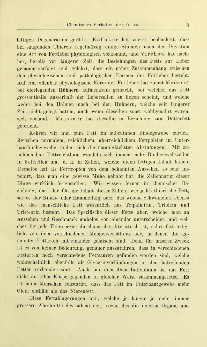 fettigen Degeneration gerätli. Kolliker hat zuerst beobachtet, (lass bei saugenden Thieren regelmässig einige Stunden nach der Digestion eine Art von Fettleber physiologisch vorkommt, und V i r c h o w hat nach- her, bereits vor längerer Zeit, die Beziehungen des Fetts zur Leber genauer verfolgt und gelehrt, dass ein naher Zusammenhang zwischen den physiologischen und pathologischen Formen der Fettleher bestellt. Auf eine offenbar physiologische Form der Fettleber hat zuerst Meissner bei eierlegenden Hühnern aufmerksam gemacht, hei welcher das Fett grossentheils ausserhalb der Leberzellen zu liegen scheint, und welche weder bei den Hähnen noch bei den Hühnern, welche seit längerer Zeit nicht gelegt hatten, auch wenn dieselben sonst wohlgenährt waren, sich vorfand. Meissner hat dieselbe in Beziehung zum Dotterfett gebracht. Kehren wir nun zum Fett im subcutanen Bindegewebe zurück. Zwischen normalem, reichlichem, überreichlichem Fettpolster im Unter- hautbindegewebe finden sich die mannigfachsten Abstufungen. Mit zu- nehmendem Fettreichthum wandeln sich immer mehr Bindegewebszellen in Fettzellen um, d. h. in Zellen, welche einen fettigen Inhalt haben. Derselbe hat als Fetttropfen von dem bekannten Aussehen so sehr im- ponirt, dass man eine gewisse Mühe gehabt hat, die Zellennatur dieser Dinge wirklich festzustellen. Wir wissen ferner in chemischer Be- ziehung, dass der flüssige Inhalt dieser Zellen, wie jedes thierische Fett, sei es der Rinds- oder Hammeltalg oder das weiche Schweinefett ebenso wie das menschliche Fett wesentlich aus Tripalmitin, Triolein und Tristearin besteht. Das Spezifische dieser Fette aber, welche man an Aussehen und Geschmack mühelos von einander unterscheidet, und wel- ches für jede Thierspezies durchaus charakteristisch ist, rührt fast ledig- lich von dem verschiedenen Mengenverhältniss her, in denen die ge- nannten Fettarten mit einander gemischt sind. Denn für unseren Zweck ist es von keiner Bedeutung, genauer auszuführen, dass in verschiedenen Fettarten noch verschiedene Fettsäuren gefunden worden sind, welche wahrscheinlich ebenfalls als Glycerinverbindungen in den betreffenden Fetten vorhanden sind. Auch bei demselben Individuum ist das Fett nicht an allen Körpergegenden in gleicher Weise zusammengesetzt. Es ist beim Menschen constatirt, dass das Fett im Unterhautgewebe mehr Olein enthält als das Nierenfett. Diese Fettablagerungen nun, welche je länger je mehr immer grössere Abschnitte des subcutanen, sowie des die inneren Organe um-