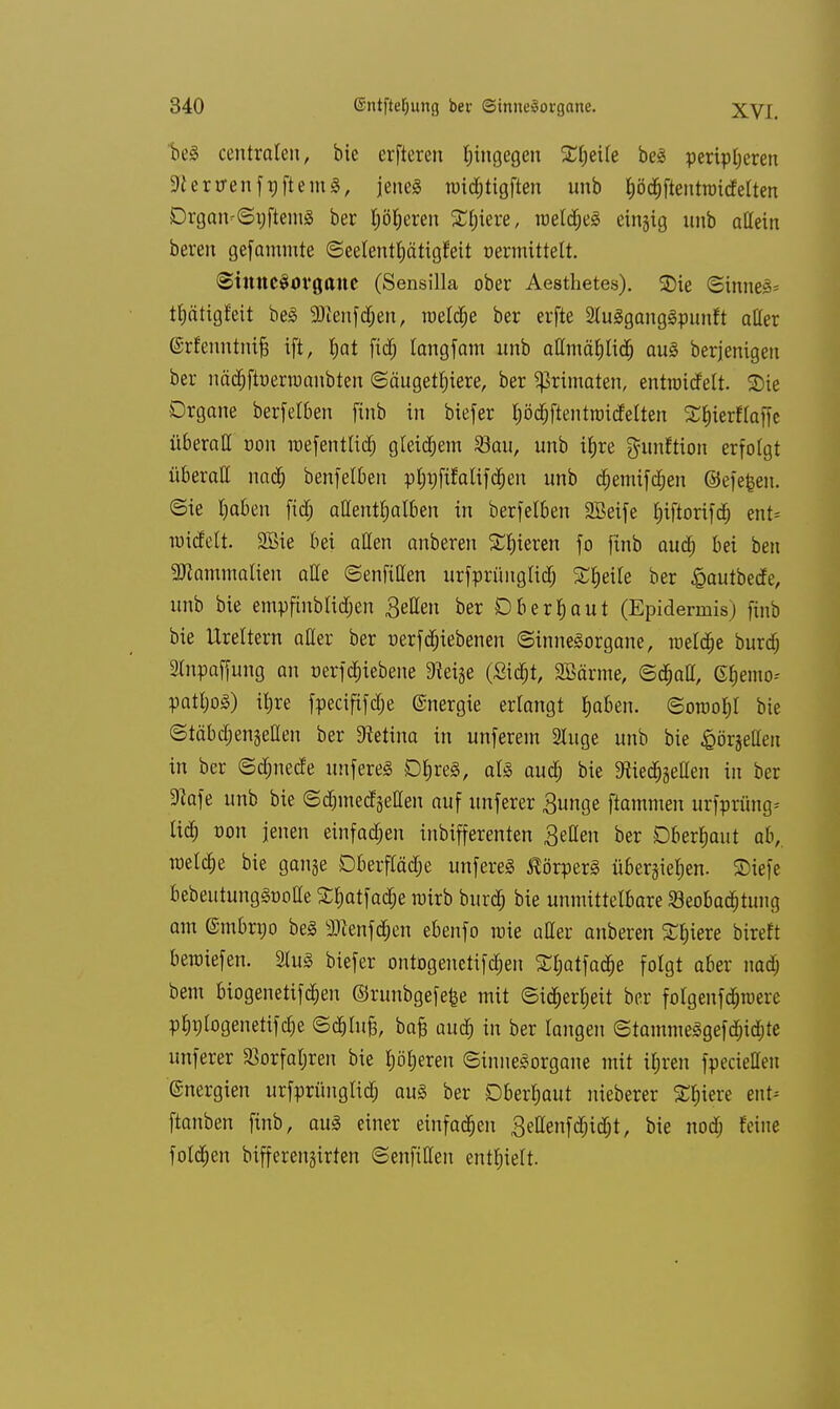 beS centralen, bie erfteren tjingegen Steife be3 peripheren SlerirenfpftemS, jenes nridjtigften unb &öd&ftenttoi<felten Orgam(Snftem3 ber höheren Ästete, roeldjeS einzig unb allein bereu gefammte ©eetentfjätigfeit oermittelt. Sinnesorgane (Sensilla ober Aesthetes). SDte Sinnet thätigfeit be3 3Henf<#en, raeldje ber erfte SluSganggpunft aller (Srfenntmjj ift, tjat fidt) langfam unb atimählich au§ berjenigen ber nä<$ftoern>anbten (Säugetiere, ber Primaten, entroidelt. Sie Organe berfelben fiub in biefer höchftentroidelten S^ierftafTe überall oon roefentUdt) gleichem Söau, unb ihre gamftion erfolgt überall nach benfetben pijrjfifalifdpen unb djemifdien ©efefeen. (Sie haben fid; allenthalben in berfelben 2Beife hiftorifd) ent* raufelt. SBie bei allen anberen Spieren fo finb aud) bei ben aWammalien alle (Senfißen urfprünglid; Steile ber £autbede, unb bie empfinbtidjen Beden ber Oberhaut (Epidermis) finb bie Ureltern aller ber üerfdjiebenen (Sinnesorgane, roetdje burdj Slnpaffung an üerfdpiebene «Rei^e (Sicht, 2Bärme, ©<$aH, Ghemo-- patljoS) ihre fpeciftfd;e Energie erlangt haben. (Sowohl bie ©täbdjenjeHen ber «Retina in unferem Sluge unb bie ßörjellen in ber (Schnede unfereä DfcreS, aU aud) bie «Riedfoetten in ber 9lafe unb bie (Sd)med§ellen auf unferer £unge flammen urfprüng* lieh oon jenen einfad;en inbifferenten gellen ber Oberhaut ab,, raetche bie gange Oberfläche unfereS Körpers übersehen, £>iefe bebeutungSooHe ^atfacr}e roirb burdp bie unmittelbare Beobachtung am ©mbrno bei 2ttenfd&en ebenfo raie aller anberen Spiere bireft beroiefen. 2lu3 biefer ontogenetifchen £&atfa<$e folgt aber nach bem biogenetifchen ©runbgefefee mit Sicherheit ber folgenfehroere phulogenetifche ©d&lufj, bafc auch in ber langen ©tammeSgefd&id&te unferer Vorfahren bie höheren Sinnesorgane mit ihren fpecieüen Energien urfprüngtich aus ber Oberhaut nieberer Spiere ent* ftanben finb, aus einer einfachen ßettenfd&id&t, bie nod; feine foldjen bifferengirten ©enfiffen enthielt.