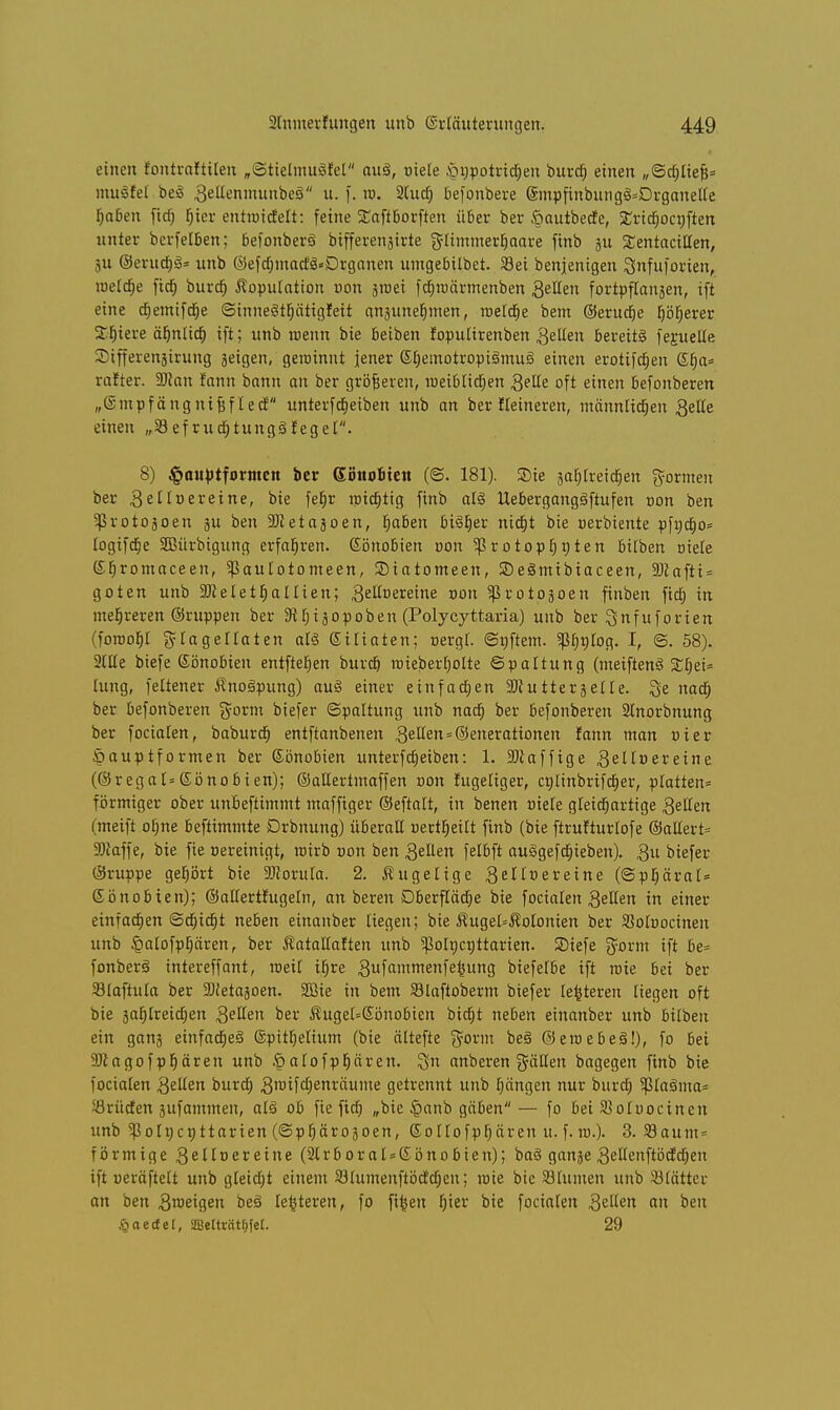 einen fontraftiten „Sttelmugfel au§, oiele §g:p.otrtc&/en burcf) einen „Sd)ltef5= muffet bei§ gellenmunbeS u. f. m. 2Cuc^ befonbere @mpfinbung§=Drganelle fjaben ftd^ t)ier entroicfelt: feine Saftborften über ber §autbede, Ericrjocnften unter berfelben; befonberS bifferenjirte $ltmmerr)aare finb ju £entacillen, 5U ©erutfiS* wnb ©efd)mad'ä=Drganen umgebilbet. Sei benjenigen Snfuforien, roeldje ftdj burcr) Äoputation von jroei fdiroärmenben gellen fortpflanjen, ift eine cf)emifcr}e Sinneötfjätigfeit anjunetjmen, raeldie bem ©eructje l)öb,erer Sfjiere ät)nlic§ ift; unb roenn bie beiben fopulirenben gellen bereits feruelle Sifferenjirung jeigen, geroinnt jener ©tjemotropiSmuio einen erotifcfjen ©fja* rafter. Wan fann bann an ber größeren, roetblidjen gelte oft einen befonberen „(Smpf ängnifjf led unterfdieiben unb an ber fleineren, männlidjeu gelle einen „Sefrutf;tungälEegel. 8) £auptfDritten ber dihtootett (S. 181). Sie jab^reidEjen formen ber gelloereine, bie fet)r ttHdjtig finb al§ Ueberganggftufen von ben ^rotojoen ju ben ÜDietajoen, rjaben biöljer nicfjt bie oerbtente pfnd)o= logifdje SBürbigung erfahren. Sönobien oon 5protopf)nten bttben oiele Gtiromaceen, ^ßaulotomeen, SDiatomeen, 3)e§mibiaceen, 9JZafti = goten unb äReletfjallien; gelloereine »on ^ßrotosoen finben fief) in mehreren ©ruppen ber 9iIii jopoben (Polycyttaria) unb ber ^nfuforien (foroot)t g-Iagellaten als ©iltaten; »ergl. (Stiftern. ^fjnlog. I, S. 58). 2llte biefe ©önobien entfielen bureb roieberljolte Spaltung (meiftenS £liei= lung, feltener ßnoäpung) au§ einer einfachen 9Jiutterjelle. 8e naa) ber befonberen gorm biefer Spaltung unb nadj ber befonberen 2lnorbnung ber focialen, baburdi entftanbenen gellen*(Generationen fann man »ier Öauptformen ber ©önobien unterfcfjeiben: 1. SDZaffige gelloereine (©regat=©önobien); @alleriinaffen oon fugeliger, cnlinbrifcljer, platten» förmiger ober unbeftimmt maffiger ©eftalt, in benen Diele gleichartige gelten (meift ofjne beftimmte Drbnung) überall »erteilt finb (bie ftrufturlofe ®allert= SJiaffe, bie fie Bereinigt, wirb dou ben gellen felbft auägefdjieben). gu biefer ©ruppe gehört bie SWorula. 2. kugelige gelloereine (Spfjärat* Sönobien); ©altertfugeln, an beren Dberflädje bie focialen gellen in einer einfachen Sdjtcrjt neben einanber liegen; bie Äugel=Äolonten ber Solrjocinen unb §alofpfjären, ber Äatallaften unb 5ßolt)ct;ttarien. SDiefe $orm ift be= fonber§ intereffant, roeit it)re gufammenfe^ung biefetbe ift roie bei ber Slaftula ber SDietajoen. Sßte in bem Slaftoberm biefer lederen liegen oft bie äaf)lreid;en gellen ber $ugeI=Sönobien btct)t neben einanber unb bilben ein ganj einfadie§ @pitl)elium (bie ältefte §orm beö ©eroebeä!), fo bei 9)1 agof paaren unb $ atofprjären. $n anberen gälten bagegen finb bie focialen gellen buret) gmifcljenräume getrennt unb t;ängen nur burd) Sßlaäma* JÖrücfen jufammen, at3 ob fie ftcr) „bie §anb gäben— fo bei Soluoctnen unb ^Polt)ct;ttarien (Sp^ärogoen, ßollofpfjären u. f. ro.). 3. 23aum = förmige gelloereine (2lrboral = Gönobien); ba§ ganje gellenftöcfdien ift ueväftelt unb gleicht einem 93lumenftöd'ct)en; roie bie 23lumen unb Blätter an ben groeigen beö letzteren, fo fi^en t)ier bie focialen gellen an ben yaetfet, üBelträttn'el. 29