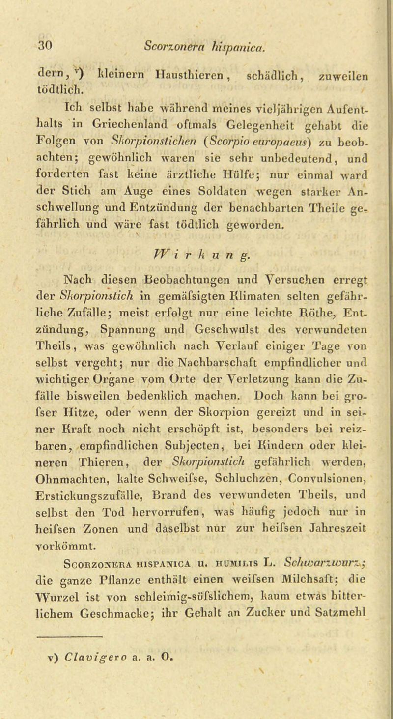 (lern, ') kleinem ITausthiercn , schädlich, zuweilen tödtlicli. Ich selbst habe während meines vieljährigcn Aufent- halts in Griechenland ofimals Gelegenheit gehabt die Folgen von Shorpionsticlien (Scorpio enropaeus) zu beob. achten; gewöhnlich waren sie sehr unbedeutend, und forderten fast keine ärztliche Hülfe; nur einmal ward der Stich am Auge eines Soldaten wegen starker An- schwellung und Entzündung der benachbarten Theile ge- fährlich und wäre fast tödtlicli geworden. VT i r k u n g. Nach diesen Beobachtungen und Versuchen erregt der Skorpions lieh in gemäfsigten Klimaten selten gefähr- liche Zufälle; meist erfolgt nur eine leichte Röthe, Ent- zündung, Spannung und Geschwulst des verwundeten Theils, was gewöhnlich nach Verlauf einiger Tage von selbst vergeht; nur die Nachbarschaft empfindlicher und wichtiger Organe vom Orte der Verletzung kann die Zu- fälle bisweilen bedenklich machen. Doch kann bei gro- fser Hitze, oder wenn der Skorpion gereizt und in sei- ner Kraft noch nicht erschöpft ist, besonders bei reiz- baren, empfindlichen Subjecten, bei Kindern oder klei- neren Thieren, der Skorpionslich gefährlich werden, Ohnmächten, kalte Schweifse, Schluchzen, Convulsionen, Erstickungszufälle, Brand des verwundeten Theils, und selbst den Tod hervorrufen, was häufig jedoch nur in heifsen Zonen und daselbst nur zur heifsen Jahreszeit vorkömmt. SCORZONERA IIISPANICA U. HUMILTS L. SchwcU'ZWVrZ die ganze Pflanze enthält einen weifsen Milchsaft; die Wurzel ist von schleimig-süfslichem, kaum etwas bitter- lichem Geschmacke; ihr Gehalt an Zucker und Satzmehl \ v) Clavigero a. a. O.