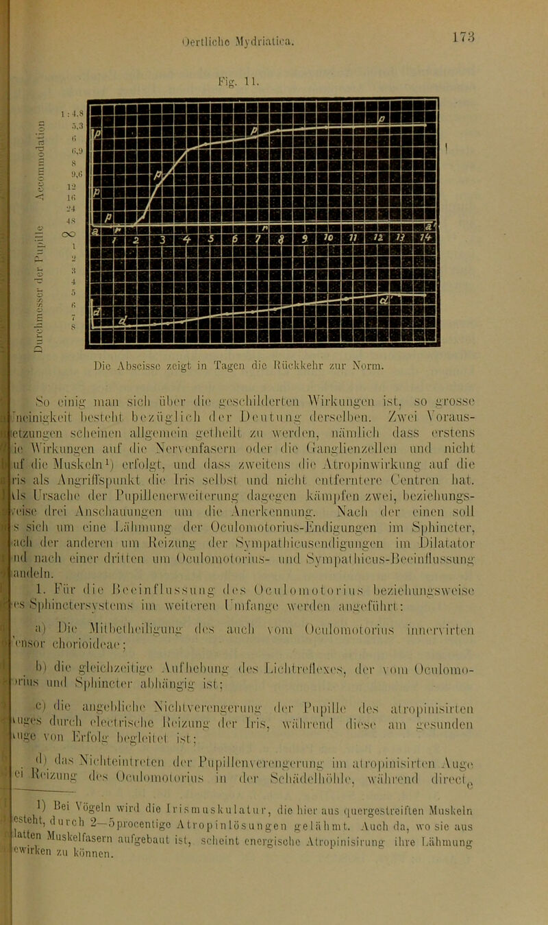 Fier. li. ^5 o •_ 1 : 4.8 5,3 (j <5,9 8 !),G 12 lß 24 48 CO l 3 4 5 8 ^5iräHMniHE2«g!gSS99iSS95 i ■■■■■■■5SBSBESSSSSSSSSSSSSSS® SBBBSSSSBS5SBSBSSSSSSSSSSSSS5 118888888888888:88888588588 B”85888mbmbmmwmm—i Die Abscisse zeigt in Tagen die Rückkehr zur Norm. So einig man sich über die geschilderten Wirkungen ist, so grösst1 •neinigkeit besteht bezüglich der Deutung derselben. Zwei \ oraus- letzungen scheinen allgemein getheilt zu werden, nämlich dass erstens ie Wirkungen auf die Nervenfasern oder die Ganglienzellen und nicht uf die Muskeln1) erfolgt, und dass zweitens die Atropinwirkung auf die ris als Angriffspunkt die Iris selbst und nicht entferntere Centren hat. vis Ursache der Pupillenerweiferring dagegen kämpfen zwei, beziehungs- weise drei Anschauungen um die Anerkennung. Nach der einen soll s sich um eine Lähmung der Oculomotorius-Endigungen im Sphincter, ach der anderen um Heizung der Sympathicusendignngen im Dilatator nd nach einer dritten um Oculomoforius- und Sympalhicus-Beeinflussung landein. 1. Für die Beeinflussung des Denlomotorius beziehungsweise •es Sphinctersysteins im weiteren Umfange werden angeführt: a) Die Mitbetheiligung des auch vom Oculomotorius innervirten ’ensor ehorioideae; b) die glcichz(‘itig(v Aufhebung des Lichtrellcxes, der vom Oculomo- irius und S])hincter abhängig ist; Ie) die angebliche Nicht Verengerung der Pupille des at ropi nisirten miws durch eleelrische Heizung der Iris, während diese am gesunden otge von Erfolg begleitet ist; ei dMlasNichteintret.cn der Pupillenverengerung im alropinisirtcn Aur Heizung des Oculomoforius in der Schädelhöhle, während direc 1) Lei Vögeln wird die Irism usku latur, die hier aus quergestreiften Muskeln esteht, d uicli 2— üprocentigo A trop in lös ungen gelähmt. Auch da, wo sie aus a en Muskelfasern aufgebaut ist, scheint energische Atropinisirung ihre Lähmung «wirken zu können.