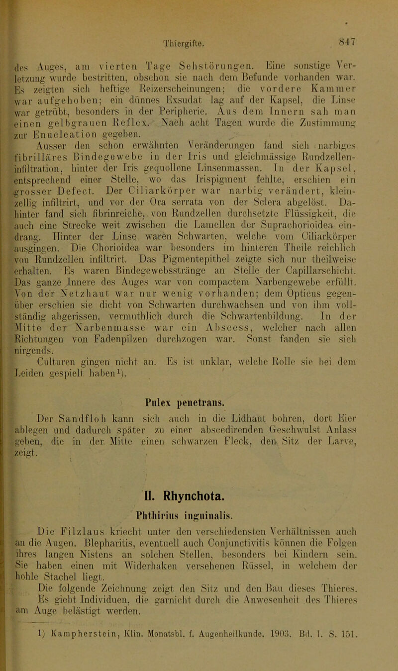 S47 des Auges, am vierten Tage Sehstörungen. Eine sonstige Ver- letzung wurde bestritten, obschon sie nach dem Befunde vorhanden war. Es zeigten sich heftige Beizerscheinungen; die vordere Kammer war aufgehoben; ein dünnes Exsudat lag auf der Kapsel, die Linse war getrübt, besonders in der Peripherie. Aus dem Innern sali man einen gelbgrauen Reflex. Nach acht Tagen wurde die Zustimmung zur Enucleation gegeben. Ausser den schon erwähnten Veränderungen fand sich narbiges fibrilläres Bindegewebe in der Iris und gleichmässige Rundzellen- infiltration, hinter der Iris gequollene Linsenmassen. In der Kapsel, entsprechend einer Stelle, wo das Irispigment fehlte, erschien ein •grosser Defect. Der Ciliarkörper war narbig verändert, klein- zellig infiltrirt, und vor der Ora serrata von der Sclera abgelöst. Da- hinter fand sich fibrinreiche, von Rundzellen durchsetzte Flüssigkeit, die auch eine Strecke weit zwischen die Lamellen der Suprachorioidea ein- drang. Hinter der Linse waren Schwarten, welche vom Ciliarkörper ausgingen. Die C-horioidea war besonders im hinteren Theile reichlich von Rundzellen infiltrirt. Das Pigmentepithel zeigte sich nur t.heilweisc erhalten. Es waren Bindegewebsstränge an Stelle der Capülarschicht. Das ganze Innere des Auges war von compactem Narbengewebe erfüllt. Von der Netzhaut war nur wenig vorhanden; dem Opticus gegen- über erschien sie dicht von Schwarten durchwachsen und von ihm voll- ständig abgerissen, vermuthlich durch die Schwartenbildung. In der Mitte der Narbenmasse war ein Abscess, welcher nach allen Richtungen von Fadenpilzen durchzogen war. Sonst fanden sie sich nirgends. Culturen gingen nicht an. Es ist unklar, welche Rolle sie hei dem Leiden gespielt haben1). Pulex penetrans. Der Sandfloh kann sich auch in die Lidhaut bohren, dort Eier ablegen und dadurch später zu einer abscedirenden Geschwulst Anlass geben, die in der Mitte einen schwarzen Fleck, den Sitz der Larve, zeigt. II. Rhynchota. Plithirius iiiguinalis. Die Filzlaus kriecht unter den verschiedensten Verhältnissen auch an die Augen. Blepharitis, eventuell auch Conjunctivitis können die Folgen ihres langen Nistens an solchen Stellen, besonders bei Kindern sein. Sie haben einen mit Widerhaken versehenen Rüssel, in welchem der hohle Stachel liegt. Die folgende Zeichnung zeigt den Sitz und den Bau dieses Thieres. Es giebt Individuen, die garnieht durch die Anwesenheit des Thieres am Auge belästigt werden. 1) Kampherstein, Klin. Monatsbl. f. Augenheilkunde. 1903. Bd. I. S. 151.