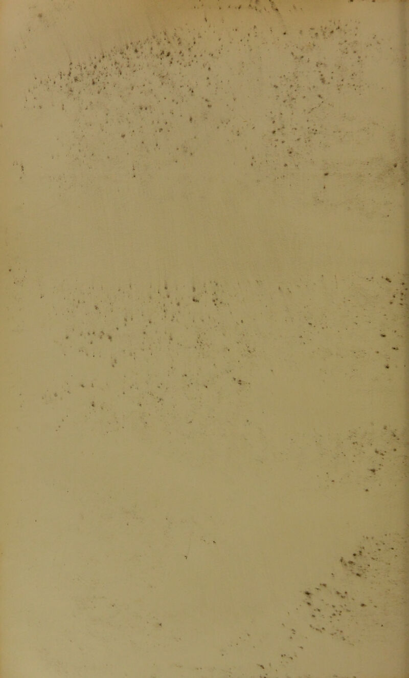 < / . \ i I . - .V . . V, V, •* ?*, . • • *' Mi V.. \ i;' ••. ■ ■ < :• *•»' Vi. * • \ > . * * . » 1 ■ * i- » . . >• ■ - ' * '• v- „ ' • * ■ , - ■v ' \ * • • 1 * *• % ' ■-* * - ■' V : - • r » *. • * „ . -■ »• V ’ * ' • » : • * ■«% i • ■ ■•••• * • « *) ‘ *♦ * • * • t * % * * * W * * v