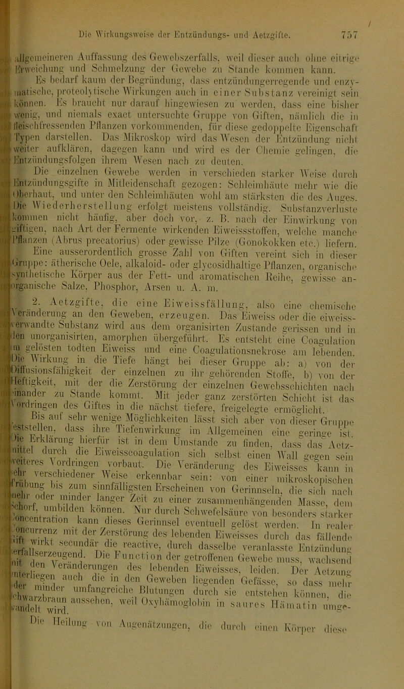 I allgemeineren Auffassung des Gewebszerfalls, weil dieser auch ohne eitrige ; Erweichung und Schmelzung der Gewebe zu Stande kommen kann. Es bedarf kaum der Begründung, dass entzündungerregende und enzv- i|? matische, proteol\tische Wirkungen auch in einer Substanz vereinigt sein & können, his braucht nur darauf hingewiesen zu werden, dass eine bisher h wenig, und niemals oxact untersuchte Gruppe von Giften, nämlich die in gi fleischfressenden Pflanzen vorkommenden, für diese gedoppelte Eigenschaft ■j Typen darsteilen. Das Mikroskop wird das Wesen der Entzündung nicht »weiter aufklären, dagegen kann und wird es der Chemie gelingen, die i Kntziindungsfolgen ihrem Wesen nach zu deuten. Die einzelnen Gewebe werden in verschieden starker Weise durch Entzündungsgifte in Mitleidenschaft gezogen: Schleimhäute mehr wie die Oberhaut, und unter den Schleimhäuten wohl am stärksten die des Auges. Die Wiederherstellung erfolgt meistens vollständig. Substanzverluste v! Dt, * ■ ’V ■tfi mm men nicht häufig, aber doen vor, z. B. nach der Einwirkung von vi fügen. nach Art der Fermente wirkenden Eiweissstoffen, welche manche Pflanzen (Abrus precatorius) oder gewisse Pilze (Gonokokken etc.) liefern. • Eine ausserordentlich grosse Zahl von Giften vereint sich in dieser Gruppe: ätherische Oele, alkaloid- oder glycosidhaltigc Pflanzen, organische synthetische Körper aus der Fett- und aromatischen Reihe, gewisse an- organische Salze, Phosphor, Arsen u. A. m. Aetzgifte, die eine Eiweissfällung, also eine chemische • ' Bänderung an den Geweben, erzeugen. Das Eiweiss oder die eiweiss- cerwandte Substanz wird aus dem organisirten Zustande gerissen und in len unorganisirten, amorphen übergeführt. Es entsteht eine Coagulation 1 S^bisten todten Eiweiss und eine Coagulationsnekrose am lebenden Oie Wmkung in die Tiefe hängt bei dieser Gruppe ab: a) von der • imlusionsfähigkeit der einzelnen zu ihr gehörenden Stoffe, b) von der 1 IKeitigkeit, mit der die Zerstörung der einzelnen Gewebsschichten nach Ginander zu Stande kommt. Mit jeder ganz zerstörten Schicht ist das ordringen des Giftes in die nächst tiefere, freigelegte ermöglicht > Bis auf sehr wenige Möglichkeiten lässt sich' aber von dieser Gruppe '.mstellen, dass ihre Tiefenwirkung im Allgemeinen eine geringe isl he Erklärung hierfür ist in dem Umstande zu finden, dass das'Actz- mttel durch die Eiweisscoagulation sich selbst einen Wall gegen sein vmc-,-cs Vordringen verbaut Die Veränderung des Eiweisses kann in erkennbar sein: von einer mikroskopischen u rang bis zum sinnfälligsten Erscheinen von Gerinnseln, die sich nach i.j, ,.f e minder langer Zeit zu einer zusammenhängenden Masse, dem Wen) UIK 1 d? können. Nur durch Schwefelsäure von besonders starker nceuliation kann dieses Gerinnsel eventuell gelöst werden In realer ;oncu,To,,2 „ntder Zerstörung des lebenden Eiweisses durch das fällende erfalke ve,,»PPakdltreaCPe’ ',lurch dasselbe veranlasst« Entzündung nit den VeS- b D'e ' ®?ct'° der S^roBwen Gewebe muss, wachsend . , ^Veränderungen des lebenden Eiweisses, leiden. Der Aetzium der mlnde,“” f ,den111G!Web<!11 lieSenden befasse, so dass mein mindei umfangreiche Blutungen durch 0 uvat'z,)raun aussehen, weil Oxyhämoglobin •anclelt wird. sie entstehen können, die in saures Hämatin umge- Die Heil llllg von Augenätzungen, die durcl