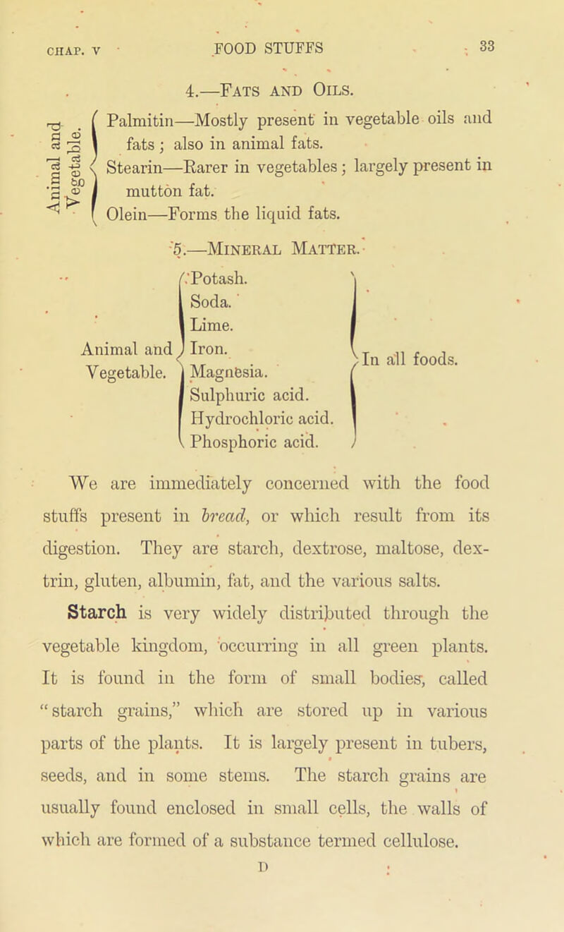 4.—Fats and Oils. Palmitin—Mostly present in vegetable oils and fats ; also in animal fats. Stearin—Rarer in vegetables; largely present in mutton fat. Olein—Forms the liquid fats. 5.—Mineral Matter. A’Potash. Soda. Lime. Animal and J Iron. Magnesia. Sulphuric acid. Hydrochloric acid. Phosphoric acid. Vegetable. In all foods. We are immediately concerned with the food stuffs present in bread, or which result from its digestion. They are starch, dextrose, maltose, dex- trin, gluten, albumin, fat, and the various salts. Starch is very widely distributed through the vegetable kingdom, ‘occurring in all green plants. It is found in the form of small bodies-, called “ starch grains,” which are stored up in various parts of the plants. It is largely present in tubers, t seeds, and in some stems. The starch grains are i usually found enclosed in small cells, the walls of which are formed of a substance termed cellulose. D