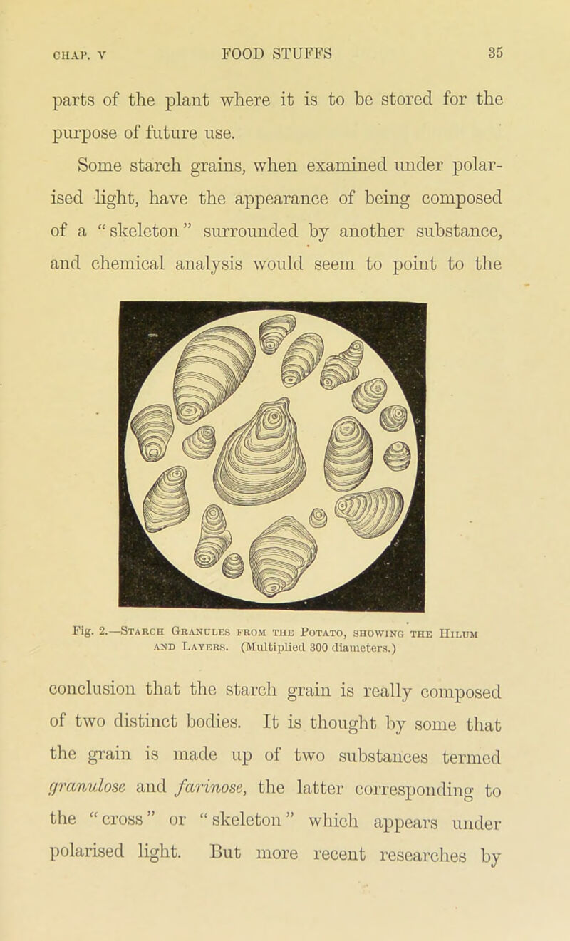 parts of the plant where it is to be stored for the purpose of future use. Some starch grains, when examined under polar- ised light, have the appearance of being composed of a “skeleton” surrounded by another substance, and chemical analysis would seem to point to the Fig. 2.—Starch Granules from the Potato, showing the Hilum and Layers. (Multiplied 300 diameters.) conclusion that the starch grain is really composed of two distinct bodies. It is thought by some that the grain is made up of two substances termed granulose and farinose, the latter corresponding to the “cross” or “skeleton” which appears under polarised light. But more recent researches by