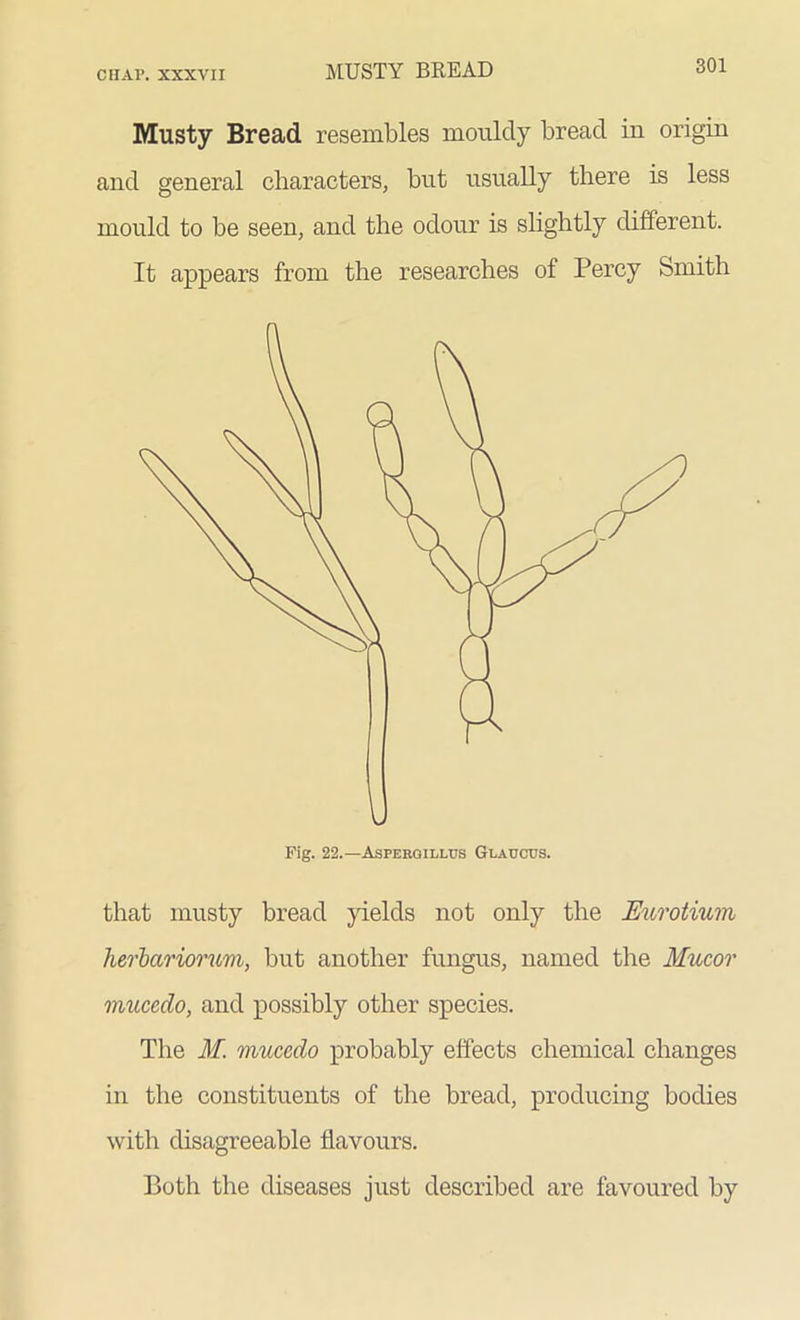 MUSTY BREAD Musty Bread resembles mouldy bread in origin and general characters, but usually there is less mould to be seen, and the odour is slightly different. It appears from the researches of Percy Smith that musty bread yields not only the Eurotium herbccriorum, but another fungus, named the Mucor mucedo, and possibly other species. The M. mucedo probably effects chemical changes in the constituents of the bread, producing bodies with disagreeable flavours. Both the diseases just described are favoured by