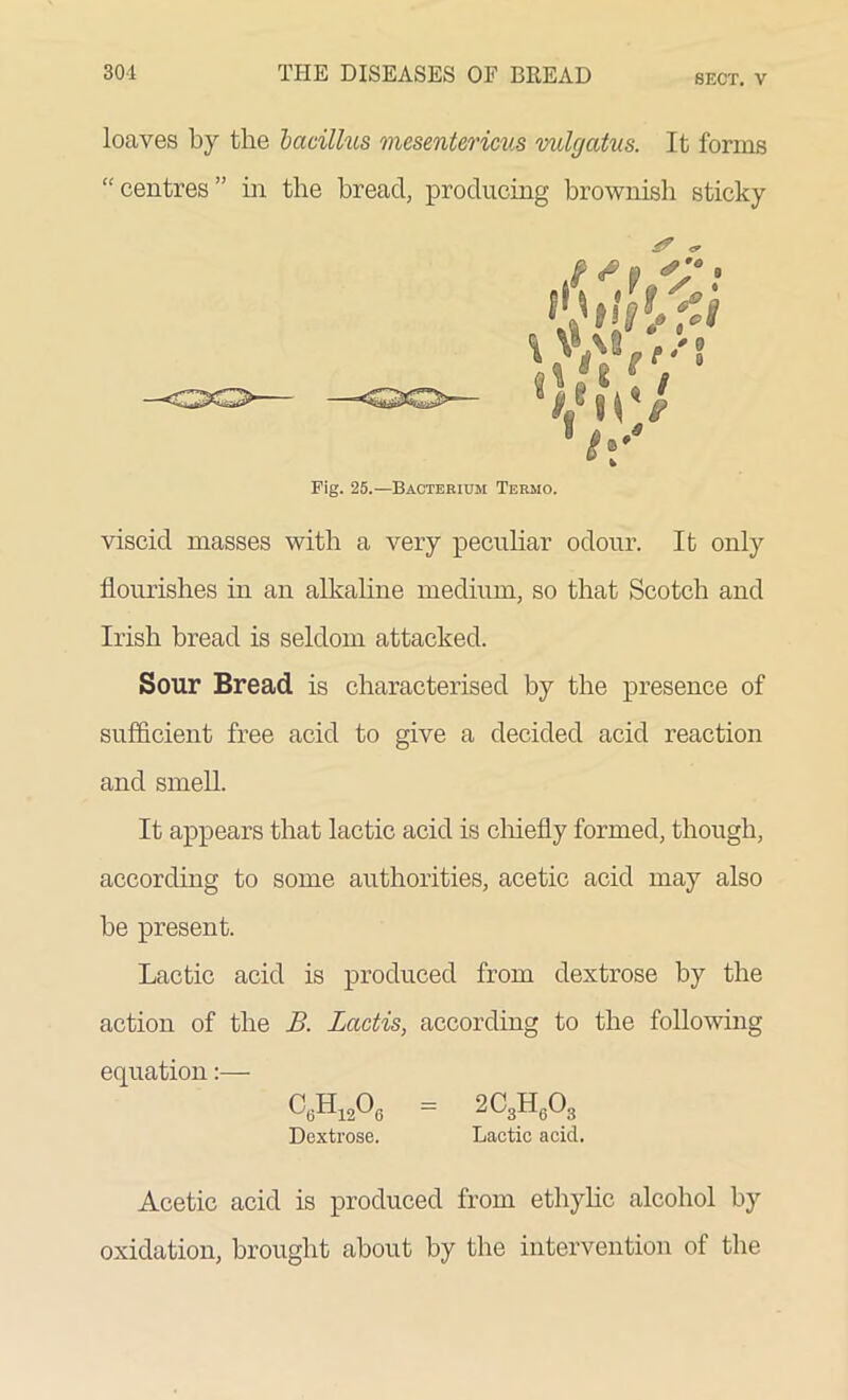 SECT. V loaves by the bacillus uiesentericus vulcjatus. It forms “ centres ” in the bread, producing brownish sticky & * Fig. 25.—Bacterium Termo. viscid masses with a very peculiar odour. It only flourishes in an alkaline medium, so that Scotch and Irish bread is seldom attacked. Sour Bread is characterised by the presence of sufficient free acid to give a decided acid reaction and smell. It appears that lactic acid is chiefly formed, though, according to some authorities, acetic acid may also be present. Lactic acid is produced from dextrose by the action of the B. Lactis, according to the following equation C6H1206 = 2C3H603 Dextrose. Lactic acid. Acetic acid is produced from ethylic alcohol by oxidation, brought about by the intervention of the