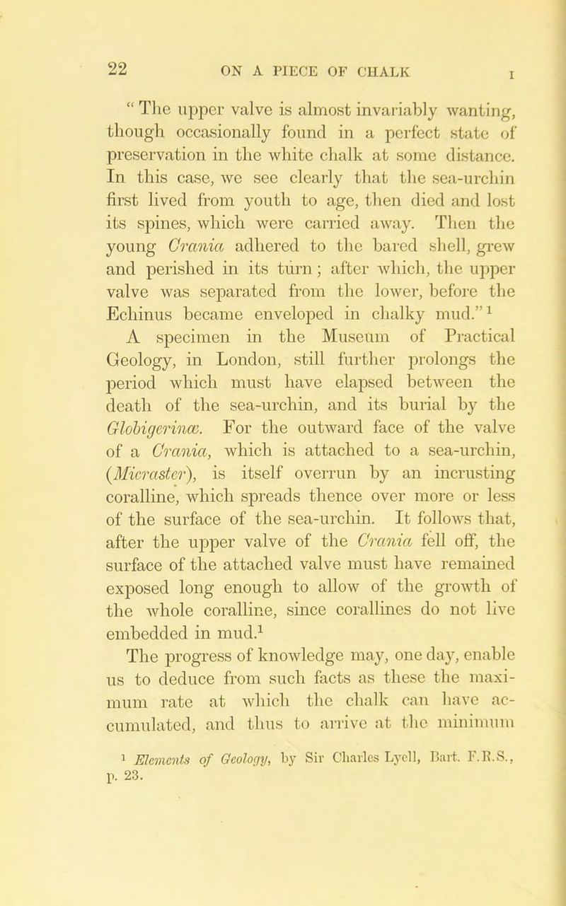 I “ Tlie upper valve is almost invai’iably Avanting, though occasionally found in a perfect state of preservation in the white chalk at some distance. In this case, Ave see clearly that the sea-urchin first lived from youth to age, then died and lost its spines, Avhich Avere carried aAvay. Then the young Crania adhered to the bared shell, gi-CAv and perished in its turn; after Avhich, the uiiper valve Avas separated from the loAver, before the Echinus became enveloped in chalky mud.”^ A specimen in the Museum of Practical Geology, in London, still further jirolongs the lieriod which must have elapsed betAveen the death of the sea-urchin, and its burial by the Glohigerinoi. For the outAvard face of the valve of a Crania, which is attached to a sea-urchin, {Micraster), is itself overrun by an incrusting corallme, which spreads thence over more or less of the surface of the sea-urchin. It folloAA'^s tliat, after the upper valve of the Crania feU off, the surface of the attached valve must have remained exposed long enough to alloAv of the groAvth of the Avhole coralline, since corallines do not live embedded in mud.^ The progress of knoAvledge may, one day, enable us to deduce from such facts as these the maxi- mum rate at AAdiich the chalk can have ac- cumulated, and thus to arrive at the minimum 1 Elements of Geology, by Sir Charles Lycll, Bart. F.R.S., p. 23.