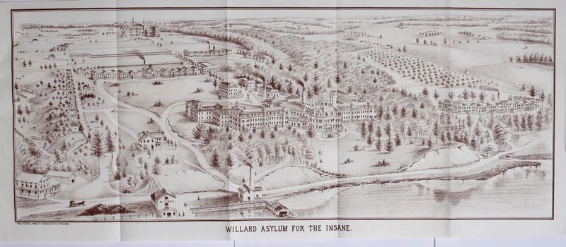 w1 lTAR D WS3V »™™ V,- WILLARD ASYLUM FOR THE INSANE