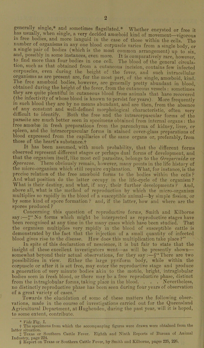 geneially single,* and sometimes flagellated.* Whether encysted or free it . usually, when single, a very decided amoeboid kind of movement—vigorous in tree bodies, and more languid in the case of those Avithin the cells. The number of organisms in any one blood corpuscle varies from a single body, or a single pair of bodies (which is the most common arrangement) up to six, and, possibly in some instances, even more. It is conijiaratively rare, however, to find more than four bodies in one cell. The blood of the general circula- tion, such as that obtained from a cutaneous incision, contains few infected corpuscles, even during the height of the fever, and such intracellular organisms as are present are, for the most part, of the single, amoeboid, kind. The free amoeboid bodies, lioweA'^er, are generally pretty abundant in blood, obtained during the height of the fever, from the cutaneous vessels : sometimes they are quite plentiful in cutaneous blood from animals that have recovered (the infectivity of whose blood is known to persist for years). More frequently in such blood they are by no means abundant, and are then, from the absence of any constant and well-defined morphological characteristic, often very difficult to identify. Both the free and the intracorpuscular forms of the parasite are much better seen in specimens obtained from internal oi’gans : the free amoeba) in fresh preparations from the parenchyma of kidney, liver, or spleen, and the intracorpuscular forms in stained cover-glass preparations of blood expressed from the capillaries of the same organs or, preferably, from those of the heart’s substance.f It has been assumed, with much probability, that the different forms observed represent different stages or perhaps dual forms of development, and that the organism itself, like most cell parasites, belongs to the Oreqarinidee or Sporozoa. 'there obviously remain, however, many points in the life history of the micro-organism which still lequire explanalion. What, for instance, is the precise relation of the free ama'boid forms to the bodies within the cells ? And what position do tho latter occupy in the life-cycle of the organism ? What is their destiny, and what, if any, their further developments P And, above all, what is the method of reproduction by which the micro-organism multiplies so rapidly in the blood of a susceptible animal—by simple fission, or by some kind of spore formation ? and, if the latter, how and Avhere are the spores produced? Concerning this question of reproductive forms. Smith and Kilborne say:—J“Mo forms which might be interpreted as reproductive stages have been recognised at any time in the many cases which have been studied. That the organism multiplies very rapidly in the blood of susceptible cattle is demonstrated by the fact that the injection of a small quantity of infected blood gives rise to the disease. How does this multiplication take place ?” In spite of this declaration of nesciejice, it is but fair to state that the insight of these excellent investigators went—as Avill be presently shown— somewhat beyond their actual observatious, for they say :—§“ There are two possibilities in vieAV. Either the large pyriform body, while within the corpuscle or after it is set free, may enter the reproductive stage and produce a generation of very minute bodies akin to the motile, bright, intraglobular bodies seen in fresh blood, or there may be a free reproductive phase, distinct from the intraglobular forms, taking place in the blood. . . . Nevertheless, no distinctly reproductive phase has been seen during four years of observation of a great variety of cases.” Towards the elucidation of some of these matters the following obser- vations, made in the course of investigations carried out for the Queensland Agricultural Department, at Hughenden, during the past year, will it is hoped, to some extent, contribute. * Vide Fig. I. f The specimens from which the accompanying figures were drawn were obtained from the latter situation. X Texas or Southern Cattle Fever. Eighth and Ninth lleports of Bureau of Animal Industry, page 224. § Report on Texas or Southern Cattle Fever, by Smith and Kilborne, pages 225, 22G.