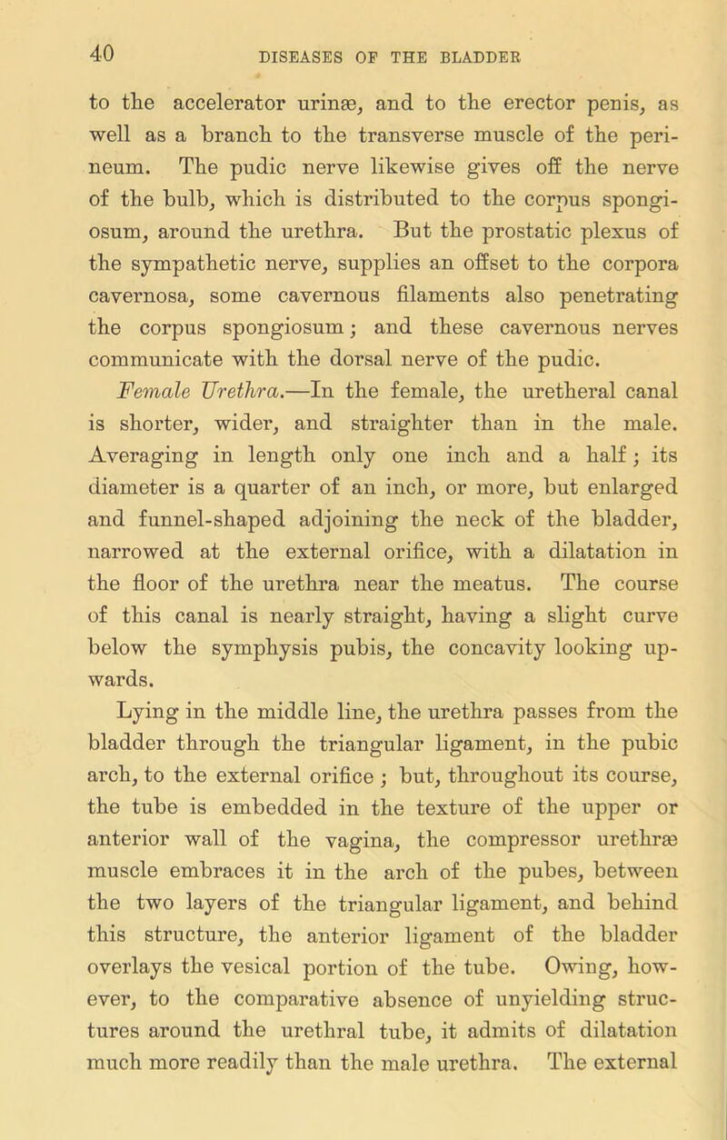 to the accelerator urinae, and to the erector penis, as well as a branch to the transverse muscle of the peri- neum. The pudic nerve likewise gives off the nerve of the bulb, which is distributed to the corpus spongi- osum, around the urethra. But the prostatic plexus of the sympathetic nerve, supplies an offset to the corpora cavernosa, some cavernous filaments also penetrating the corpus spongiosum; and these cavernous nerves communicate with the dorsal nerve of the pudic. Female Urethra.—In the female, the uretheral canal is shorter, wider, and straighter than in the male. Averaging in length only one inch and a half; its diameter is a quarter of an inch, or more, but enlarged and funnel-shaped adjoining the neck of the bladder, narrowed at the external orifice, with a dilatation in the floor of the urethra near the meatus. The course of this canal is nearly straight, having a slight curve below the symphysis pubis, the concavity looking up- wards. Lying in the middle line, the urethra passes from the bladder through the triangular ligament, in the pubic arch, to the external orifice ; but, throughout its course, the tube is embedded in the texture of the upper or anterior wall of the vagina, the compressor urethras muscle embraces it in the arch of the pubes, between the two layers of the triangular ligament, and behind this structure, the anterior ligament of the bladder overlays the vesical portion of the tube. Owing, how- ever, to the comparative absence of unyielding struc- tures around the urethral tube, it admits of dilatation much more readily than the male urethra. The external