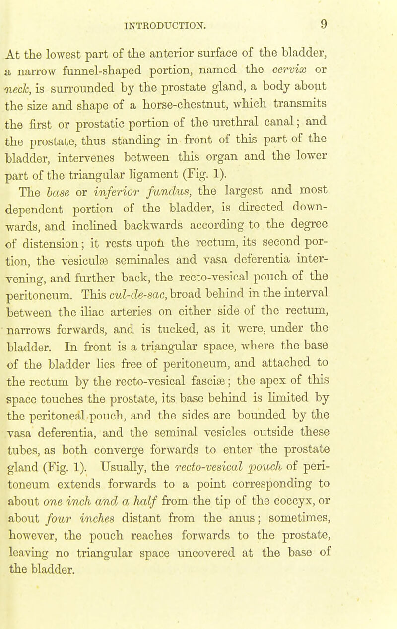 At the lowest part of the anterior surface of the bladder, a narrow funnel-shaped portion, named the ce7-vix or neclc, is surrounded by the prostate gland, a body about the size and shape of a horse-chestnut, which transmits the first or prostatic portion of the urethral canal; and the prostate, thus standing in front of this part of the bladder, intervenes between this organ and the lower part of the triangular ligament (Fig. 1). The base or inferior fundus, the largest and most dependent portion of the bladder, is directed down- wards, and incHned backwards according to the degree of distension; it rests upon the rectum, its second por- tion, the vesiculaB seminales and vasa deferentia inter- vening, and further back, the recto-vesical pouch of the peritoneum. This cul-de-sac, broad behind in the interval between the ihac arteries on either side of the rectum, narrows forwards, and is tucked, as it were, under the bladder. In front is a triangular space, where the base of the bladder Kes free of peritoneum, and attached to the rectum by the recto-vesical fasciae; the apex of this space touches the prostate, its base behind is limited by the peritoneal pouch, and the sides are bounded by the vasa deferentia, and the seminal vesicles outside these tubes, as both converge forwards to enter the prostate gland (Fig. 1). Usually, the recto-vesical pouch of peri- toneum extends forwards to a point corresponding to about one inch and a half from the tip of the coccyx, or about four inches distant from the anus; sometimes, however, the pouch reaches forwards to the prostate, leaving no triangular space uncovered at the base of the bladder.