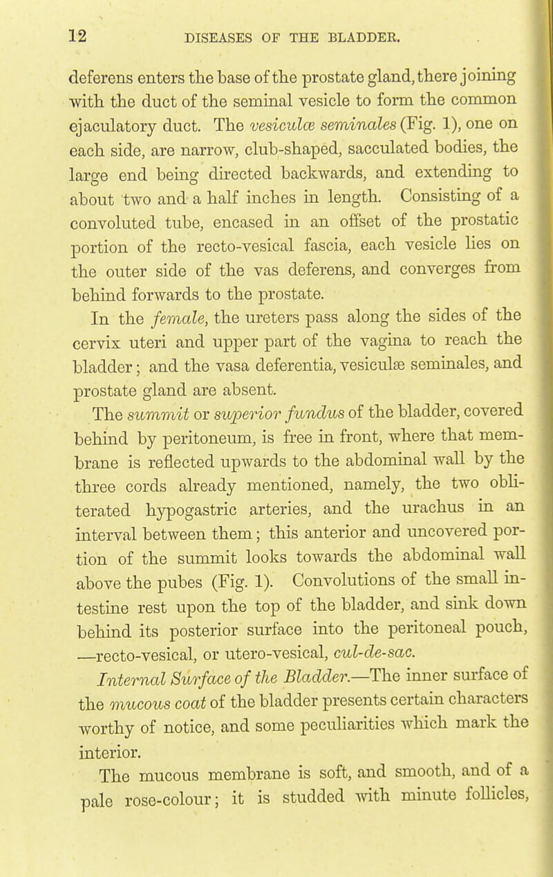 deferens enters tlie base of the prostate gland, there joining with the duct of the seminal vesicle to form the common ejaculatory duct. The vesiculce seminales (Fig. 1), one on each side, are narrow, club-shaped, sacculated bodies, the large end being directed backwards, and extending to about two and a half inches in length. Consisting of a convoluted tube, encased in an offset of the prostatic portion of the recto-vesical fascia, each vesicle lies on the outer side of the vas deferens, and converges from behind forwards to the prostate. In the female, the ureters pass along the sides of the cervix uteri and upper part of the vagina to reach the bladder; and the vasa deferentia, vesiculae seminales, and prostate gland are absent. The summit or superior fundus of the bladder, covered behind by peritoneum, is free in front, where that mem- brane is reflected upwards to the abdominal wall by the three cords already mentioned, namely, the two obh- terated hypogastric arteries, and the urachus in an interval between them; this anterior and uncovered por- tion of the summit looks towards the abdominal wall above the pubes (Fig. 1). Convolutions of the small in- testine rest upon the top of the bladder, and sink down behind its posterior surface into the peritoneal pouch, —recto-vesical, or utero-vesical, cul-de-sac. Internal Surface of the Bladder.—The inner surface of the mucous coat of the bladder presents certain characters worthy of notice, and some pecuHarities which mark the interior. The mucous membrane is soft, and smooth, and of a pale rose-colour; it is studded with minute follicles,