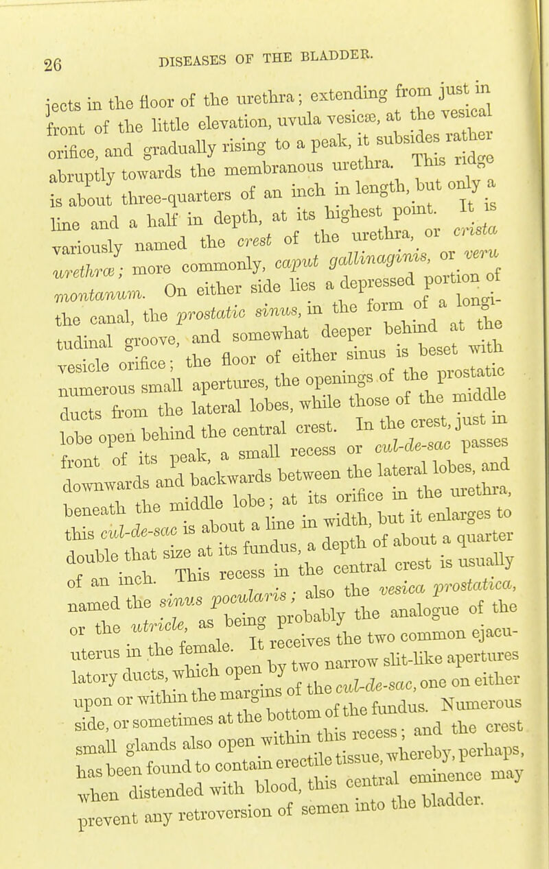 iects in the floor of the urethra; extending from just in r nt of tl^e little elevation, uvula vesica, at the ve «=a orifice, and graduaUy rising to a peak, it — abruptly towai-ds the membranous urethra. This udge tZI three-,uarters of an -h ^'i line and a half in depth, at :ts taghes pomt It s variously named the crest of the urethra, or cnda more eommonly. caput galUnag^n^s. oyer. ZtZi,n. On either side lies ^ ^^P--^ the canal, the «~s. m the ''^^^X tudinil groove, and somewhat deeper behmd at tne te ide orifice;'the floor of sinus is beset -d. numerous small apert^es, the openmgs of t''^ P— ducts from the lateral lobes, while those of the middle 01 an men. -l^^ _ vesica vrostatica, or the ^ ^^f J^e two common ejacu- uterus in the f-^^ ^'^^^^^ „ apertures upon or withm the mai„ Humerous side, or sometimes at the bottom 01 ,„all glands also P-.-*^^^^^^^^ has been found to contain erec letis u ^> ^ P when distended with blood, this ^'^^^^J'^^ , prevent any retroversion of semen into the bladdei.