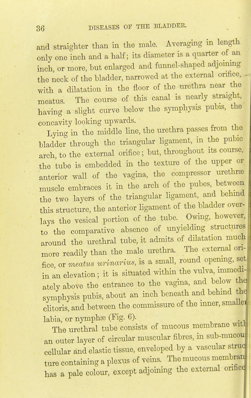 and straighter than in the male. Averaging in length only one inch and a half; its diameter is a quarter of an inch or more, hut enlarged and funnel-shaped adjommg the neck of the bladder, narrowed at the external orifice, - with a dilatation in the floor of the urethra near the meatus. The course of this canal is nearly straight, having a shght curve below the symphysis pubis, the concavity looking upwards. Lying in the middle hne, the urethra passes from the bladder through the triangular hgament, in the pubic arch to the external orifice; but, throughout its com-se, the tube is embedded in the texture of the upper or anterior waU of the vagina, the compressor urethra muscle embraces it in the arch of the pubes, between the two layers of the triangular ligament, and behmd this structure, the anterior ligament of the bladder over- lays the vesical portion of the tube. Owing, however, to the comparative absence of unyielding structures around the urethral tube, it admits of dilatation much more readily than the male urethi-a. The external ori- fice or meatus urinarius, is a smaU, round openmg, set in an elevation; it is situated within the vulva, mimedi-j ately above the entrance to the vagina, and below the symphysis pubis, about an inch beneath and behind the clitoris, and between the commissure of the inner, smaUe: labia, or nymphffi (Fig. 6). The urethral tube consists of mucous membrane witl an outer layer of ch'cular muscular fibres, in sub-mucou cellular and elastic tissue, enveloped by a vascular struc ture containing a plexus of veins. The mucous membran has a pale colour, except adjoining the external orifice