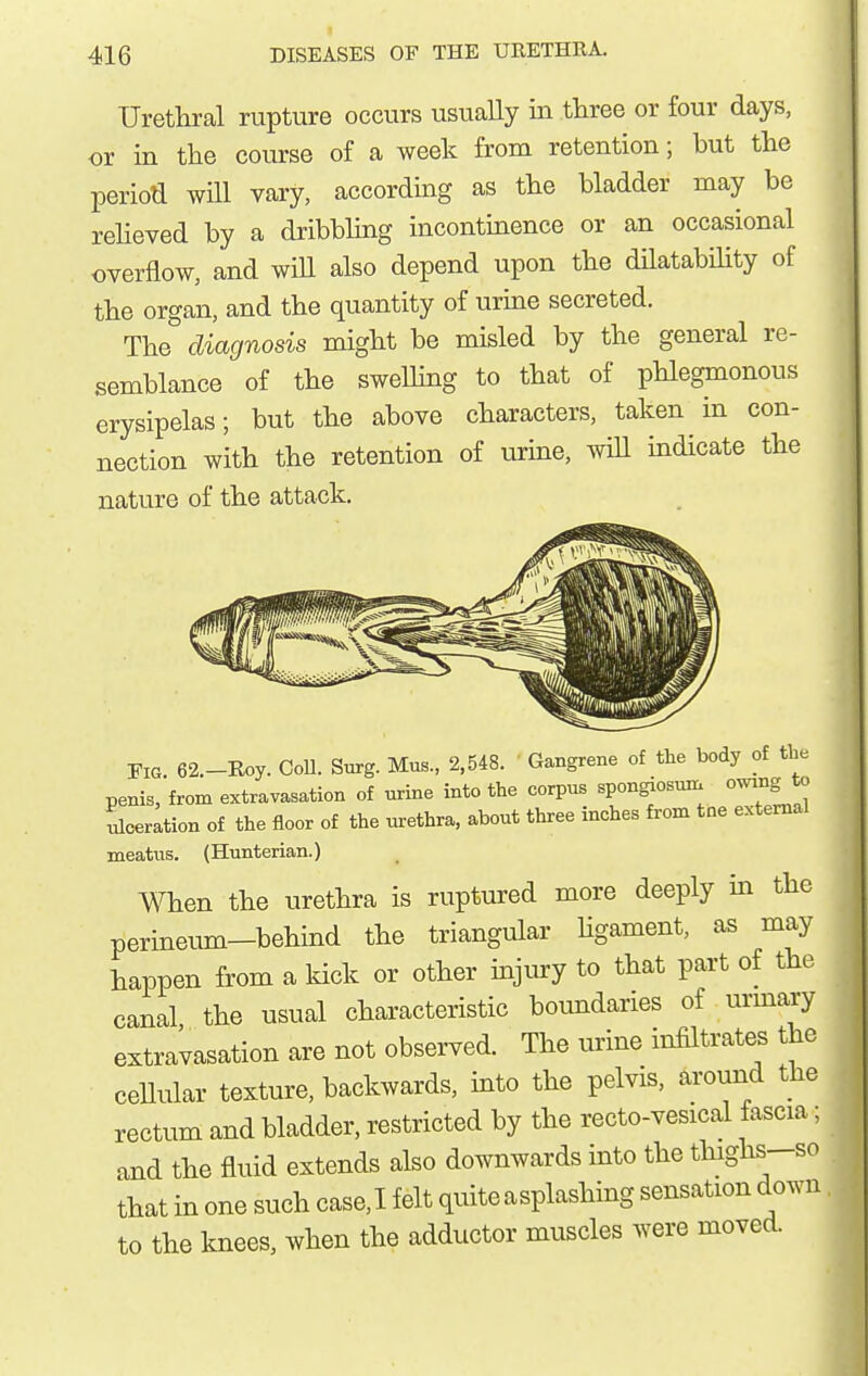 Urethral rupture occurs usually in three or four days, or in the course of a week from retention; but the perioa will vary, according as the bladder may be reheved by a dribbhng incontinence or an occasional overflow, and will also depend upon the dHatabihty of the organ, and the quantity of urine secreted. The diagnosis might be misled by the general re- semblance of the swelhng to that of phlegmonous erysipelas; but the above characters, taken in con- nection with the retention of urine, wiU indicate the nature of the attack. Fig 62.-Eoy. CoU. Surg. Mus., 2,548. ' Gangrene of the body of the penis, from extravasation of urine into the corpus spon^osum owing to ulceration of the floor of the urethra, about three inches from tne external meatus. (Hunterian.) When the urethra is ruptured more deeply m the perineum-behind the triangular Hgament, as may happen from a kick or other mjury to that part of the canal the usual characteristic boundaries of urmary extravasation are not obsei-ved. The urine infiltrates the cellular texture, backwards, into the pelvis, around the rectum and bladder, restricted by the recto-vesical fascia; and the fluid extends also downwards into the thighs-so that in one such case,I felt quite a splashing sensation down to the knees, when the adductor muscles were moved.