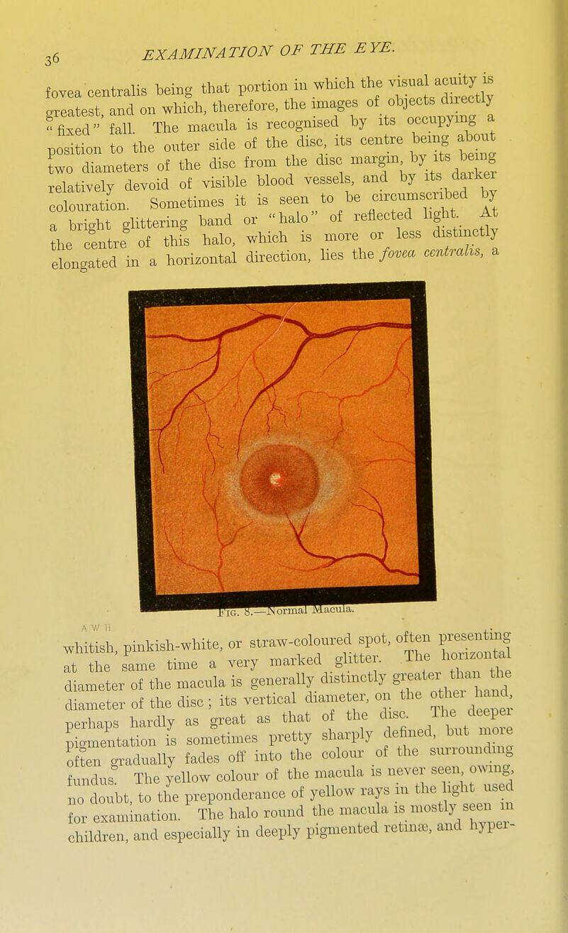 fovea centralis being that l-^^on in which the visual a^^^^^^^^ greatest, and on which, therefore, the images fixed fall The macnla is recognised by its occupying a pos'fon to the outer side of the disc, its centre being about ?wo diameters of the disc from the disc -^^^^^^^^ relatively devoid of visible blood vessels, and by its darker collation. Sometimes it is -J^^^^^f a bright glittering band or halo of reflected light At the centre of this halo, which is more or less distinctly elongated in a horizontal direction, lies the /o.m ccntrahs, a / \ f \ / 1 T ^ V \ whitish, pinkish-white, or straw-coloured spot, often V^^^^^i I the same time a very marked glitter. The horizon a diameter of the macula is generally distmctly g^^-  *f diameter of the disc; its vertical dmmeter, on the » he. land perhaps hardly great as that o the disc. J' jleep ^ pigmentation is sometimes pretty sharply defined, bu mo e otL gradually fades off into the colour of the surrounding ?midus The yellow colour of the macula is never seen owing no doubt, to the preponderance of yellow rays in the ight used ?or examination. The halo round the macida is mostly seen m children, and especially in deeply pigmented retins, and hypei-