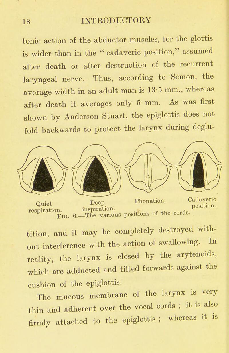 tonic action of the abductor muscles, for the glottis is wider than in the  cadaveric position, assumed after death or after destruction of the recurrent laryngeal nerve. Thus, according to Semon, the average width in an adult man is 13-5 mm., whereas after death it averages only 5 mm. As was first shown by Anderson Stuart, the epiglottis does not fold backwards to protect the larynx during deglu- Quiet . Deep Phonation. Cadaveric respiration. inspiration. f ^ Yio. 6. The various positions of the coras. tition, and it may be completely destroyed with- out interference with the action of swaUowing. In reality, the larynx is closed by the arytenoids, which are adducted and tilted forwards against the cushion of the epiglottis. The mucous membrane of the larynx is very thin and adherent over the vocal cords ; it is also firmly attached to the epiglottis ; whereas it is