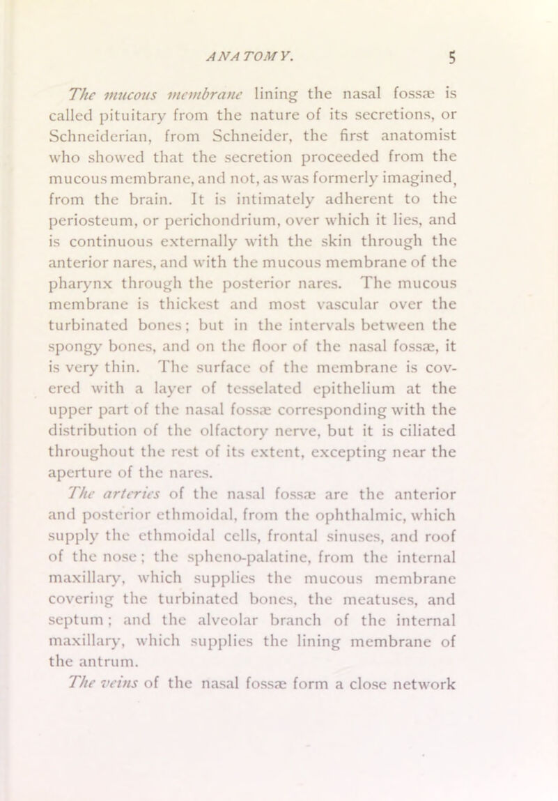 The mucous membrane lining the nasal fossae is called pituitary from the nature of its secretions, or Schneiderian, from Schneider, the first anatomist who showed that the secretion proceeded from the mucous membrane, and not, as was formerly imagined, from the brain. It is intimately adherent to the periosteum, or perichondrium, over which it lies, and is continuous externally with the skin through the anterior nares, and with the mucous membrane of the pharynx through the posterior nares. The mucous membrane is thickest and most vascular over the turbinated bones; but in the intervals between the spongy bones, and on the floor of the nasal fossae, it is very thin. The surface of the membrane is cov- ered with a layer of tcsselated epithelium at the upper part of the nasal fossae corresponding with the distribution of the olfactory nerve, but it is ciliated throughout the rest of its extent, excepting near the aperture of the nares. The arteries of the nasal fossa; are the anterior and posterior ethmoidal, from the ophthalmic, which supply the ethmoidal cells, frontal sinuses, and roof of the nose ; the spheno-palatine, from the internal maxillary, which supplies the mucous membrane covering the turbinated bones, the meatuses, and septum; and the alveolar branch of the internal maxillary, which supplies the lining membrane of the antrum. The veins of the nasal fossae form a close network