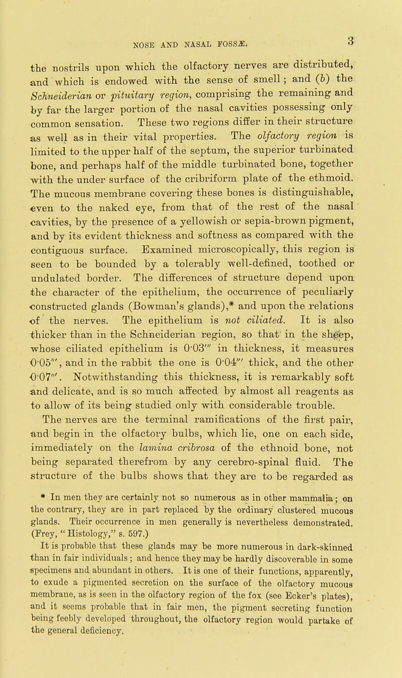 the nostrils upon whicli the olfactory nerves are distributed, and which is endowed with the sense of smell; and (b) the Schneiderian or pituitary region, comprising the remaining and by far the larger portion of the nasal cavities possessing only common sensation. These two regions differ in their structure as well as in their vital properties. The olfactory region is limited to the upper half of the septum, the superior turbinated bone, and perhaps half of the middle turbinated bone, together with the under surface of the cribriform plate of the ethmoid. The mucous membrane covering these bones is distinguishable, even to the naked eye, from that of the rest of the nasal cavities, by the presence of a yellowish or sepia-brown pigment, and by its evident thickness and softness as compared with the contiguous surface. Examined microscopically, this region is seen to be bounded by a tolerably well-defined, toothed or undulated border. The differences of structui-e depend upon the character of the epithelium, the occurrence of peculiarly constructed glands (Bowman's glands),* and upon the relations of the nerves. The epithelium is not ciliated. It is also thicker than in the Schneiderian region, so that in the sh^'fep, whose ciliated epithelium is 0'03' in thickness, it measures 0-05', and in the rabbit the one is 004' thick, and the other 0 07'. Notv/ithstanding this thickness, it is remarkably soft and delicate, and is so much affected by almost all reagents as to allow of its being studied only with considerable trouble. The nerves are the terminal ramifications of the first pair, and begin in the olfactory bulbs, which lie, one on each side, immediately on the lamina cribrosa of the ethnoid bone, not being separated therefrom by any cerebro-spinal fluid. The structure of the bulbs shows that they are to be regarded as • In men they are certainly not so numerous as in other mammalia; on the contrary, they are in part replaced by the ordinary clustered mucous glands. Their occurrence in men generally is nevertheless demonstrated. (Frey, Histology, s. 597.) It is probable that these glands may be more numerous in dark-skinned than in fair individuals; and hence they may be hardly discoverable in some specimens and abundant in others. It is one of their functions, apparently, to exude a pigmented secretion on the surface of the olfactory mucous membrane, as is seen iu the olfactory region of the fox (see Ecker's plates), and it seems probable that in fair men, the pigment secreting function being feebly developed throughout, the olfactory region would partake of the general deficiency.
