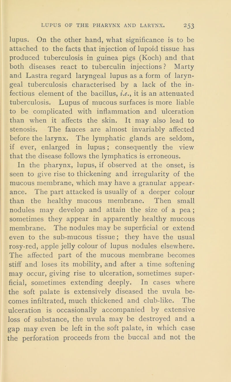 lupus. On the other hand, what significance is to be attached to the facts that injection of lupoid tissue has produced tuberculosis in guinea pigs (Koch) and that both diseases react to tuberculin injections ? Marty and Lastra regard laryngeal lupus as a form of laryn- geal tuberculosis characterised by a lack of the in- fectious element of the bacillus, i.e., it is an attenuated tuberculosis. Lupus of mucous surfaces is more liable to be complicated with inflammation and ulceration than when it affects the skin. It may also lead to stenosis. The fauces are almost invariably affected before the larynx. The lymphatic glands are seldom, if ever, enlarged in lupus ; consequently the view that the disease follows the lymphatics is erroneous. In the pharynx, lupus, if observed at the onset, is seen to give rise to thickening and irregularity of the mucous membrane, which may have a granular appear- ance. The part attacked is usually of a deeper colour than the healthy mucous membrane. Then small nodules may develop and attain the size of a pea ; sometimes they appear in apparently healthy mucous membrane. The nodules may be superficial or extend even to the sub-mucous tissue; they have the usual rosy-red, apple jelly colour of lupus nodules elsewhere. The affected part of the mucous membrane becomes stiff and loses its mobility, and after a time softening may occur, giving rise to ulceration, sometimes super- ficial, sometimes extending deeply. In cases where the soft palate is extensively diseased the uvula be- comes infiltrated, much thickened and club-like. The ulceration is occasionally accompanied by extensive loss of substance, the uvula may be destroyed and a gap may even be left in the soft palate, in which case the perforation proceeds from the buccal and not the