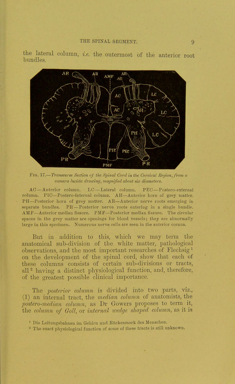 the lateral column, i.e. the outermost of the anterior root bundles. Fig. 17.—Transverse Section of the Spinal Cord in the Cervical Region, from a camera lucida drawing, magnified about -fix diameters. AC—Anterior column. LC — Lateral column. PEC — Postero-external column. PIC—Postero-internal column. AH—Anterior horn of grey matter. PH—Posterior horn of grey mntter. AE—Anterior nerve roots emerging in separate bundles. PR — Posterior nerve roots euteriug in a single bundle. AMF—Anterior median fissure. PMF—Posterior mediau fissure. The circular spaces in the grey matter are openings for blood vessels; they are abnormally large iu this specimen. Numerous nerve cells are seen in the anterior cornua. But in addition to this, which we may term the anatomical sub-division of the white matter, pathological observations, and the most important researches of Flechsig1 on the development of the spinal cord, show that each of these columns consists of certain sub-divisions or tracts, all2 having a distinct physiological function, and, therefore, of the greatest possible clinical importance. The posterior column is divided into two parts, viz., (1) an internal tract, the median column of anatomists, the postero-median column, as Dr Gowers proposes to term it, the column of Goll, or internal wedge shaped column, as it is 1 Die Leitungsbahnerj im Gehiru und Riickenmark des Menschen. - The exact physiological function of some of these tracts is still unknown.