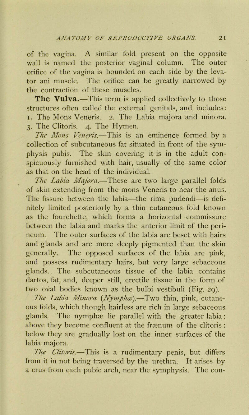 of the vagina. A similar fold present on the opposite wall is named the posterior vaginal column. The outer orifice of the vagina is bounded on each side by the leva- tor ani muscle. The orifice can be greatly narrowed by the contraction of these muscles. The Vulva.—This term is applied collectively to those structures often called the external genitals, and includes: i. The Mons Veneris. 2. The Labia majora and minora. 3. The Clitoris. 4. The Hymen. The Mons Veneris.—This is an eminence formed by a collection of subcutaneous fat situated in front of the sym- physis pubis. The skin covering it is in the adult con- spicuously furnished with hair, usually of the same color as that on the head of the individual. The Labia Majora.—These are two large parallel folds of skin extending from the mons Veneris to near the anus. The fissure between the labia—the rima pudendi—is defi- nitely limited posteriorly by a thin cutaneous fold known as the fourchette, which forms a horizontal commissure between the labia and marks the anterior limit of the peri- neum. The outer surfaces of the labia are beset with hairs and glands and are more deeply pigmented than the skin generally. The opposed surfaces of the labia are pink, and possess rudimentary hairs, but very large sebaceous glands. The subcutaneous tissue of the labia contains dartos, fat, and, deeper still, erectile tissue in the form of two oval bodies known as the bulbi vestibuli (Fig. 29). The Labia Minora (Nympho).—Two thin, pink, cutane- ous folds, which though hairless are rich in large sebaceous glands. The nymphae lie parallel with the greater labia: above they become confluent at the fraenum of the clitoris: below they are gradually lost on the inner surfaces of the labia majora. The Clitoris.—This is a rudimentary penis, but differs from it in not being traversed by the urethra. It arises by a crus from each pubic arch, near the symphysis. The con-