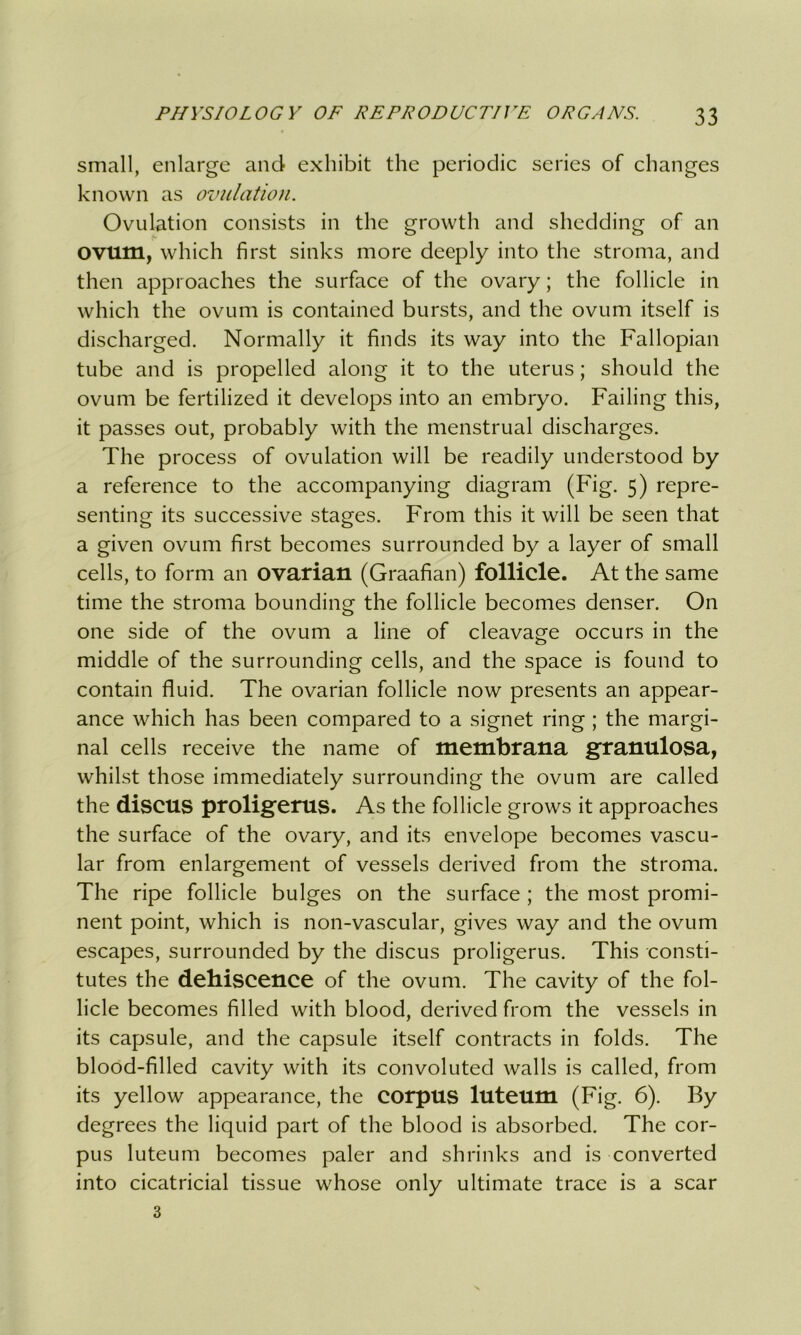 small, enlarge and exhibit the periodic series of changes known as ovulation. Ovulation consists in the growth and shedding of an ovum, which first sinks more deeply into the stroma, and then approaches the surface of the ovary; the follicle in which the ovum is contained bursts, and the ovum itself is discharged. Normally it finds its way into the Fallopian tube and is propelled along it to the uterus; should the ovum be fertilized it develops into an embryo. Failing this, it passes out, probably with the menstrual discharges. The process of ovulation will be readily understood by a reference to the accompanying diagram (Fig. 5) repre- senting its successive stages. From this it will be seen that a given ovum first becomes surrounded by a layer of small cells, to form an ovarian (Graafian) follicle. At the same time the stroma bounding the follicle becomes denser. On one side of the ovum a line of cleavage occurs in the middle of the surrounding cells, and the space is found to contain fluid. The ovarian follicle now presents an appear- ance which has been compared to a signet ring ; the margi- nal cells receive the name of membrana granulosa, whilst those immediately surrounding the ovum are called the discus proligerus. As the follicle grows it approaches the surface of the ovary, and its envelope becomes vascu- lar from enlargement of vessels derived from the stroma. The ripe follicle bulges on the surface ; the most promi- nent point, which is non-vascular, gives way and the ovum escapes, surrounded by the discus proligerus. This consti- tutes the dehiscence of the ovum. The cavity of the fol- licle becomes filled with blood, derived from the vessels in its capsule, and the capsule itself contracts in folds. The blood-filled cavity with its convoluted walls is called, from its yellow appearance, the corpus luteum (Fig. 6). By degrees the liquid part of the blood is absorbed. The cor- pus luteum becomes paler and shrinks and is converted into cicatricial tissue whose only ultimate trace is a scar 3