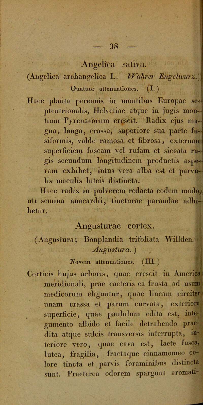 Angelica saliva. j (Angelica archangelica L, TVahret' Engelwurz.'j > Quatuor attenuationes. (I.) j Haec plaiita perennis in montibns Europae se-: ptentrionalis, Helvetiae atque in jngis mon- tiimi Pyrenaeorum cr^seit. Radix ejus ma- gna, longa, crassa, superiore sua parte fu-; siformis, valde ramosa et fibrosa j externami snperficiem fuscam vel rufam et siccata rli- gis secundum longitudinem productis aspe-H ram exhibet, iiitus vera alba est et parvu-J lis maculis luteis distincta. Ilaec radix in pulverem redacta eodem modo, ; uti seraina aiiacardii, tincturae paraudae adhi- betiir. Angusturae cortex. ; (Angustura; Bonplandia trifoliata Willdeii. AngiLsiura.) , 1 Norem attenuationes. (IR.) Corticis liujus arboris^ quae crescit in America meridionali, prae caeteris ea frusta ad usiun medicorum eliguntur, ([uae bneam circiter: unam crassa et parum curvata, exteriore superficie, quae p,aululum edita est, iule- gumento aRndo et facile detraliendo prae- dita atque sulcis traiisversis interrupta, in- teriore vero, quae cava est, laete fusca, lutea, fragilia, fractaque cinnamomeo co- lore tincta et parvis foraminiljus distincta sunt. Praeterea odorcm sparguiit aromati-