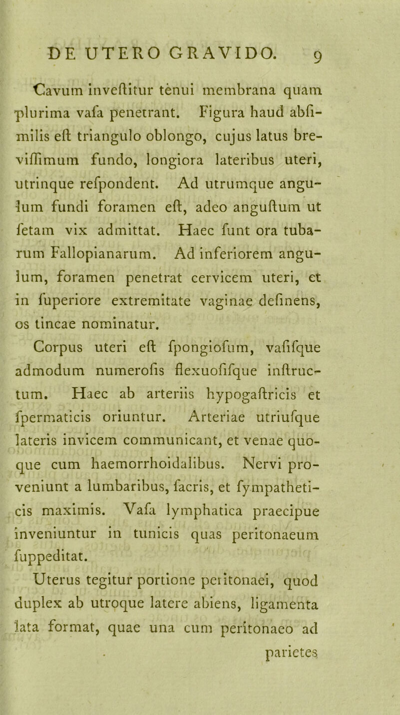 Cavum invertitur tenui membrana quam plurima vafa penetrant. Figura haud abfi- milis eft triangulo oblongo, cujus latus bre- virtimum fundo, longiora lateribus uteri, utrinque refpondent. Ad utrumque angu- lum fundi foramen eft, adeo anguftum ut fetam vix admittat. Flaec funt ora tuba- rum Fallopianarum. Ad inferiorem angu- lum, foramen penetrat cervicem uteri, et in luperiore extremitate vaginae definens, os tincae nominatur. Corpus uteri eft fpongiofum, vafifque admodum numerolis flexuofifque inftruc- tum. Haec ab arteriis hypogaftricis et fpermaticis oriuntur. Arteriae utriufque lateris invicem communicant, et venae quo- que cum haemorrhoidalibus. Nervi pro- veniunt a lumbaribus, facris, et fympatheti- cis maximis. Vafa lymphatica praecipue inveniuntur in tunicis quas peritonaeum fappeditat. Uterus tegitur portione peritonaei, quod duplex ab utroque latere abiens, ligamenta lata format, quae una cum peritonaeo ad parietes