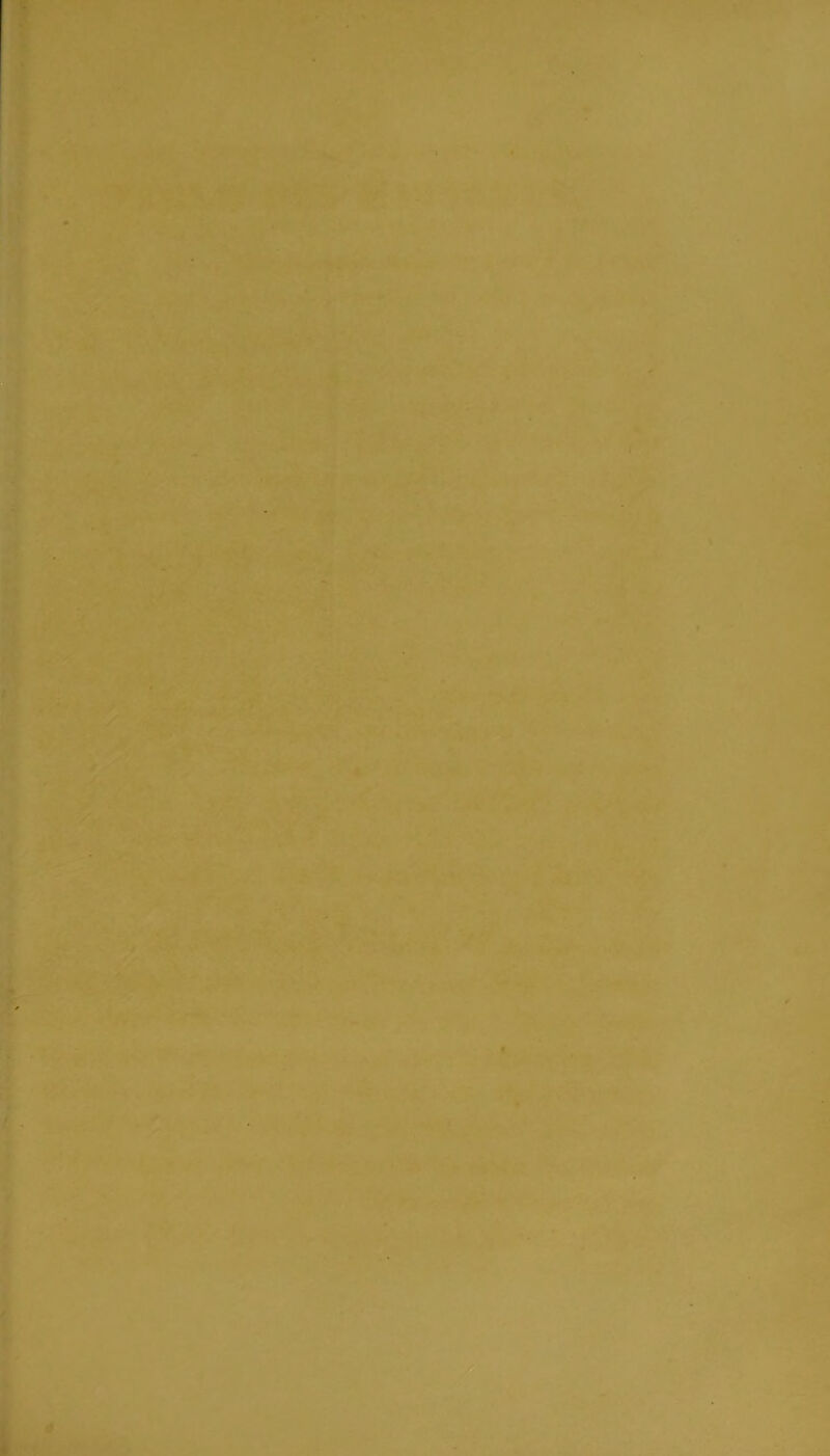 I f i n, I t \ % 1:1 V i > I l