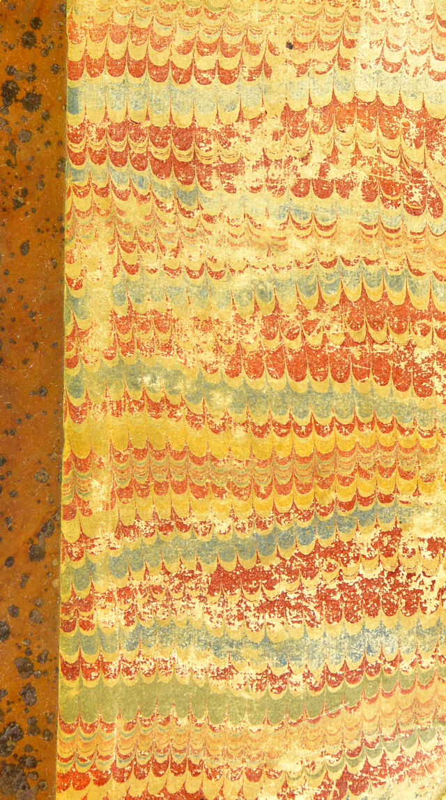 No text description is available for this image