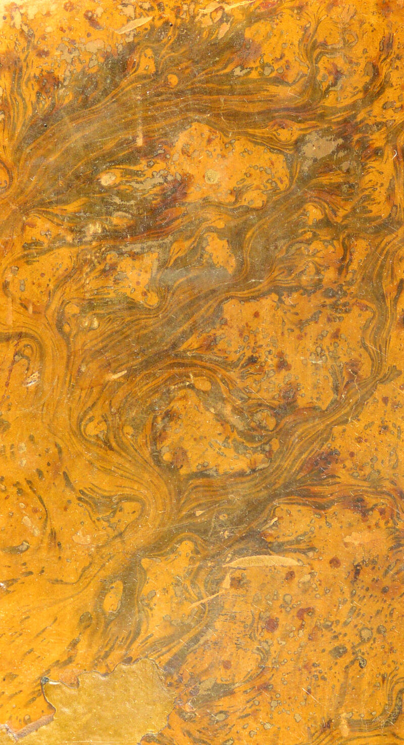 No text description is available for this image