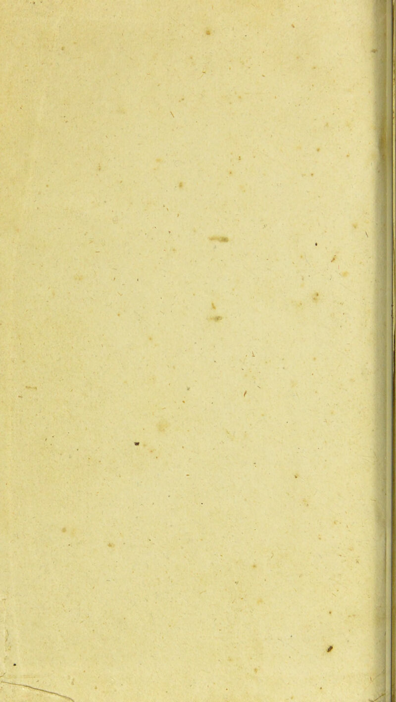 I s* If 4 \ * - 6 \ . t 4 I : V / V > * » * . f. ✓