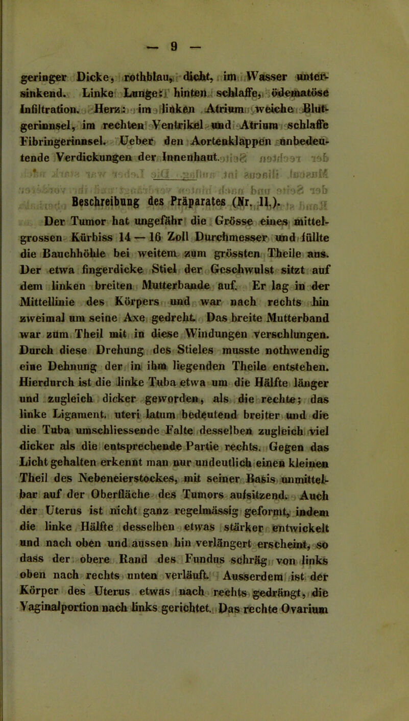 geringer Dicke, rothblau, tliclit, im YVasser unter- sinkend. Linke Lunge: hinten schlaffe, iidematose Infiltration. Herts: im linken Atrium weiche Blut- gerinnsel, im rechten Ventrikel und Atrium schlaffe Fibringerinnsel. Ueber den Aorteuklappen unbedeu- tende Verdickungen der Innenhaut. ' i f v ,f, v.v isdsil ■/ iiur: jni auonili IouruM iiov i'jdi 'Baa tov 'ttstnhi dona bnn isb Beschreibung des Praparates (Nr. 11.). Der Tumor hat ungefahr die Grdsse eines mittel- grossen Kiirbiss 14 — 16 Zoll Durchmesser und fiillte die Bauchhohle bei weiteni zum grossten Theile aus. Der etwa fingerdicke Stiel der Gcschwulst sitzt auf dem linken breiten Mutterbande auf. Er lag in der Mittellinie des Kdrpers und war nach rechts liin zweimal uni seine Axe gedreht. Das breite Mutterband war zum Theil mit in diese Windungen Verschlungen. Durch diese Drehung des Stieles musste nothwendig eiue Dehmmg der in ihra liegenden Theile entstehen. Hierdurch ist die linke Tuba etwa uni die Halite lunger und zugleich dicker geworden, als die rechte; das linke Ligament, uteri latum bedeutend breiter und die die Tuba umschliessende Falte desselben zugleich viel dicker als die entsprechende Partie rechts. Gegen das Licht gehalten erkennt man nur undeutlich einen kleinen Theil des Nebeneierstockes, mit seiner Basis unmittel- bar auf der Oberflache des Tumors aulsitzend. Auch der Uterus ist nicht ganz regelmassig geformt, indem die linke Halfte desselben etwas starker entwickelt und nach oben und aussen hin verlSngert erscheint, so dass der obere Rand des Fundus schrag von links oben nach rechts unten verlauft. Ausserdem ist der Korper des Uterus etwas nach rechts gedrangt, die Yaginalportion nach links gerichtet. Das rechte Ovarium