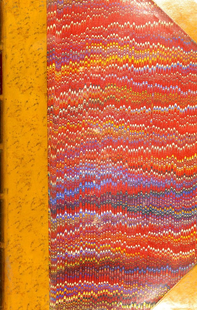 No text description is available for this image