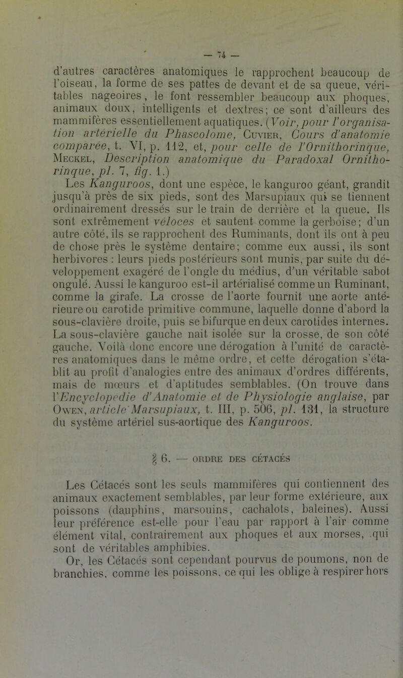 d’autres caractères anatomiques le rapprochent beaucoup de l’oiseau, la forme de ses pattes de devant et de sa queue, véri- tables nageoires, le font ressembler beaucoup aux phoques, animaux doux, intelligents et dexfres; ce sont d’ailleurs des mammifères essentiellement aquatiques. {Voir,pour l’organisa- tion artérielle du Pliascolome, Cuvier, Cours d'anatomie comparée, t. VI, p, 11 “2, et, pour celle de l’Ornithorinque, Meckel, Description anatomique du Paradoxal Ornitho- rinque, pl. 7, üg. 1.) Les Kanguroos, dont une espèce, le kangiiroo géant, grandit jusqu’à près de six pieds, sont des Marsupiaux qui se tiennent ordinairement dressés sur le train de deriière et la queue. Ils sont extrêmement véloces et sautent comme la gerboise; d’un autre côté, ils se rapprochent des Ruminants, dont ils ont à peu de chose près le système dentaire; comme eux aussi, ils sont herbivores : leurs pieds postérieurs sont munis, par suite du dé- veloppement exagéré de l’ongle du médius, d'un véritable sabot ongulé. Aussi lekanguroo est-il artérialisé comme un Ruminant, comme la girafe. La crosse de l’aorte fournit une aorte anté- rieure ou carotide primitive commune, laquelle donne d’abord la sous-clavière droite, puis se bifurque en deux carotides internes. La sous-clavière gauche nait isolée sur la crosse, de son côté gauche. Voilà donc encore une dérogation à l’unité de caractè- res anatomiques dans le même ordre, et cette dérogation s’éta- blit au proüt d’analogies entre des animaux d’ordres différents, mais de mœurs et d’aptitudes semblables. (On Irouve dans VPncyclojiedie d'Anatomie et de Physiologie anglaise, par OwEy, article'Marsupiaux, t. III, p. 506, pl. 131, la structure du système artériel sus-aortique des Kanguroos. § 6. — ORDRE DES CÉTACÉS Les Cétacés sont les seuls mammifères qui contiennent des animaux exactement semblables, par leur forme extérieure, aux poissons (dauphins, marsouins, cachalots, baleines). Aussi leur préférence est-elle pour l’eau par rapport à l’air comme élément vital, contrairement aux phoques et aux morses, .qui sont de véritables amphibies. Or, les Cétacés sont cependant pourvus de poumons, non de branchies, comme les poissons, ce qui les oblige à respirer hors