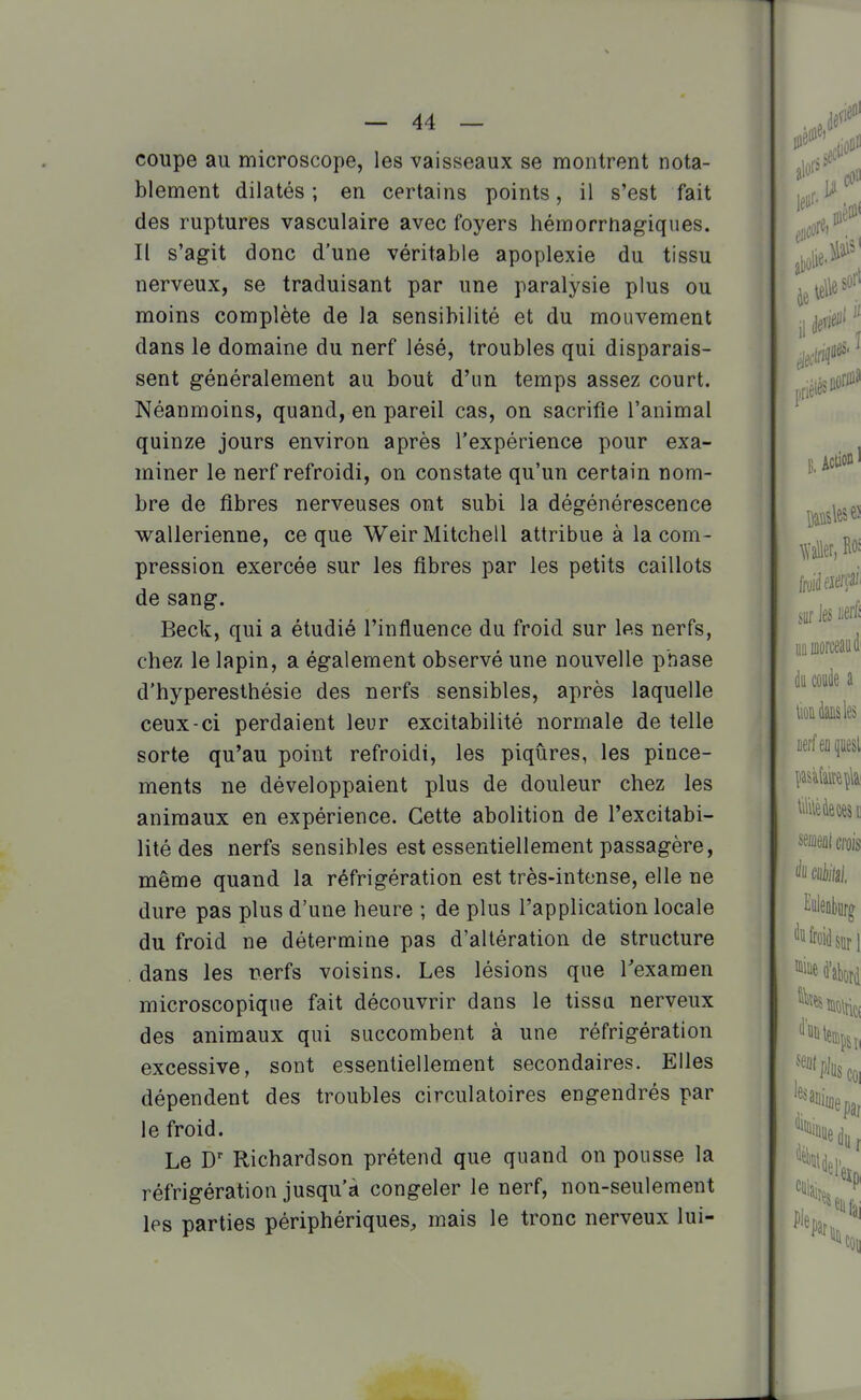 coupe au microscope, les vaisseaux se montrent nota- blement dilatés ; en certains points, il s'est fait des ruptures vasculaire avec foyers hémorrnagiques. Il s'agit donc d'une véritable apoplexie du tissu nerveux, se traduisant par une paralysie plus ou moins complète de la sensibilité et du mouvement dans le domaine du nerf lésé, troubles qui disparais- sent généralement au bout d'un temps assez court. Néanmoins, quand, en pareil cas, on sacrifie l'animal quinze jours environ après l'expérience pour exa- miner le nerf refroidi, on constate qu'un certain nom- bre de fibres nerveuses ont subi la dégénérescence wallerienne, ce que WeirMitchell attribue à la com- pression exercée sur les fibres par les petits caillots de sang. Beck, qui a étudié l'influence du froid sur les nerfs, chez le lapin, a également observé une nouvelle phase d'hyperesthésie des nerfs sensibles, après laquelle ceux-ci perdaient leur excitabilité normale de telle sorte qu'au point refroidi, les piqûres, les pince- ments ne développaient plus de douleur chez les animaux en expérience. Cette abolition de l'excitabi- lité des nerfs sensibles est essentiellement passagère, même quand la réfrigération est très-intense, elle ne dure pas plus d'une heure ; de plus l'application locale du froid ne détermine pas d'altération de structure . dans les nerfs voisins. Les lésions que Texamen microscopique fait découvrir dans le tissa nerveux des animaux qui succombent à une réfrigération excessive, sont essentiellement secondaires. Elles dépendent des troubles circulatoires engendrés par le froid. Le Richardson prétend que quand on pousse la réfrigération jusqu'à congeler le nerf, non-seulement les parties périphériques, mais le tronc nerveux lui-